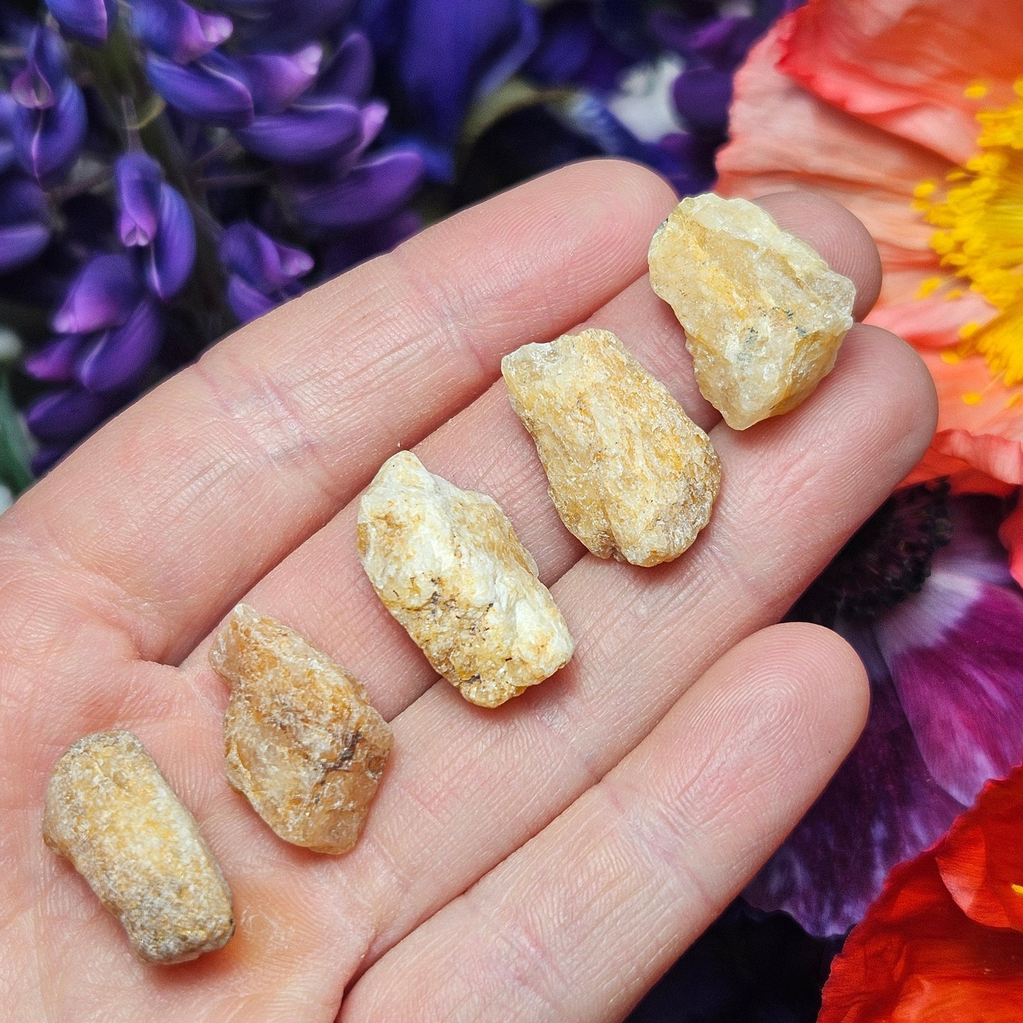 XL Phenacite Crystal
