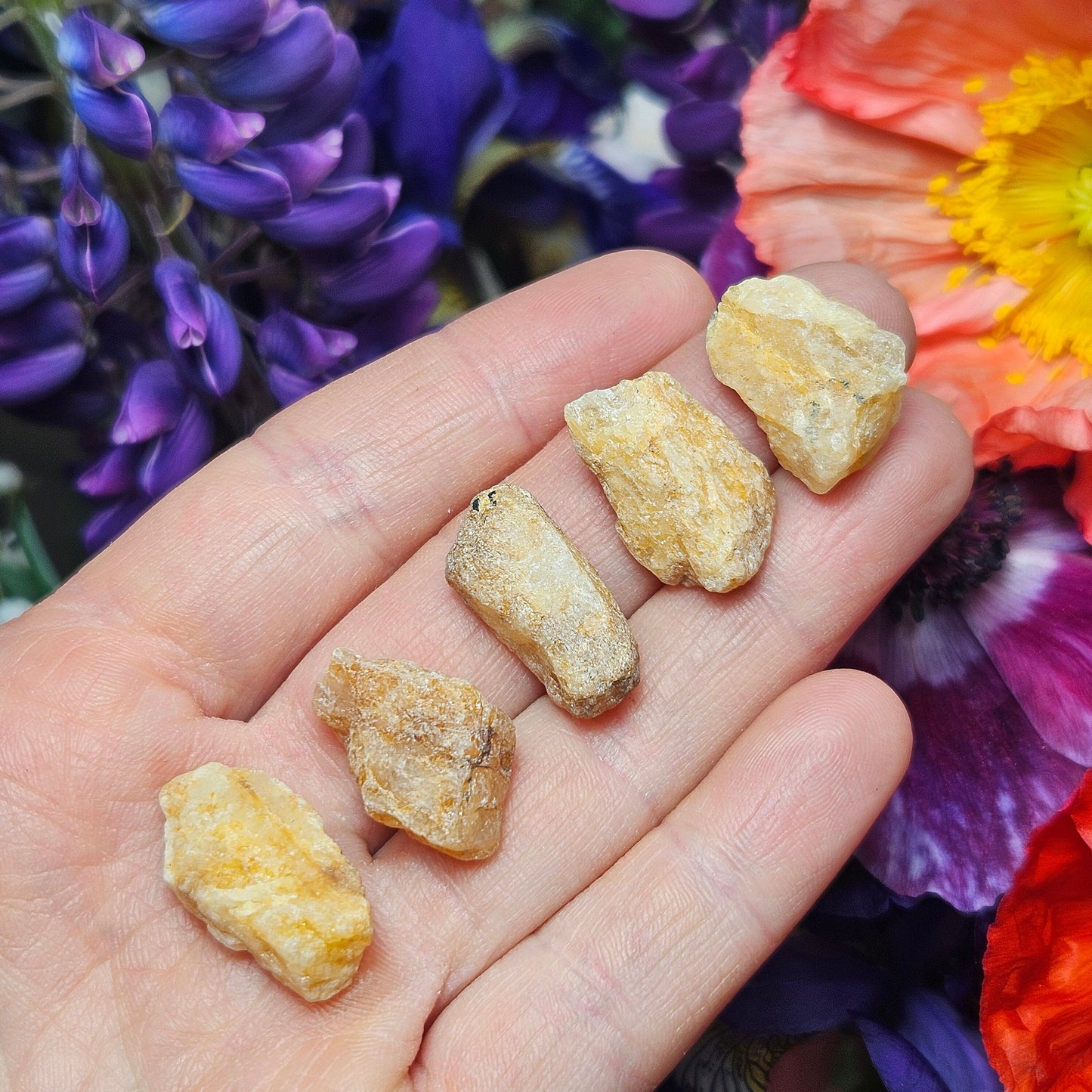 XL Phenacite Crystal