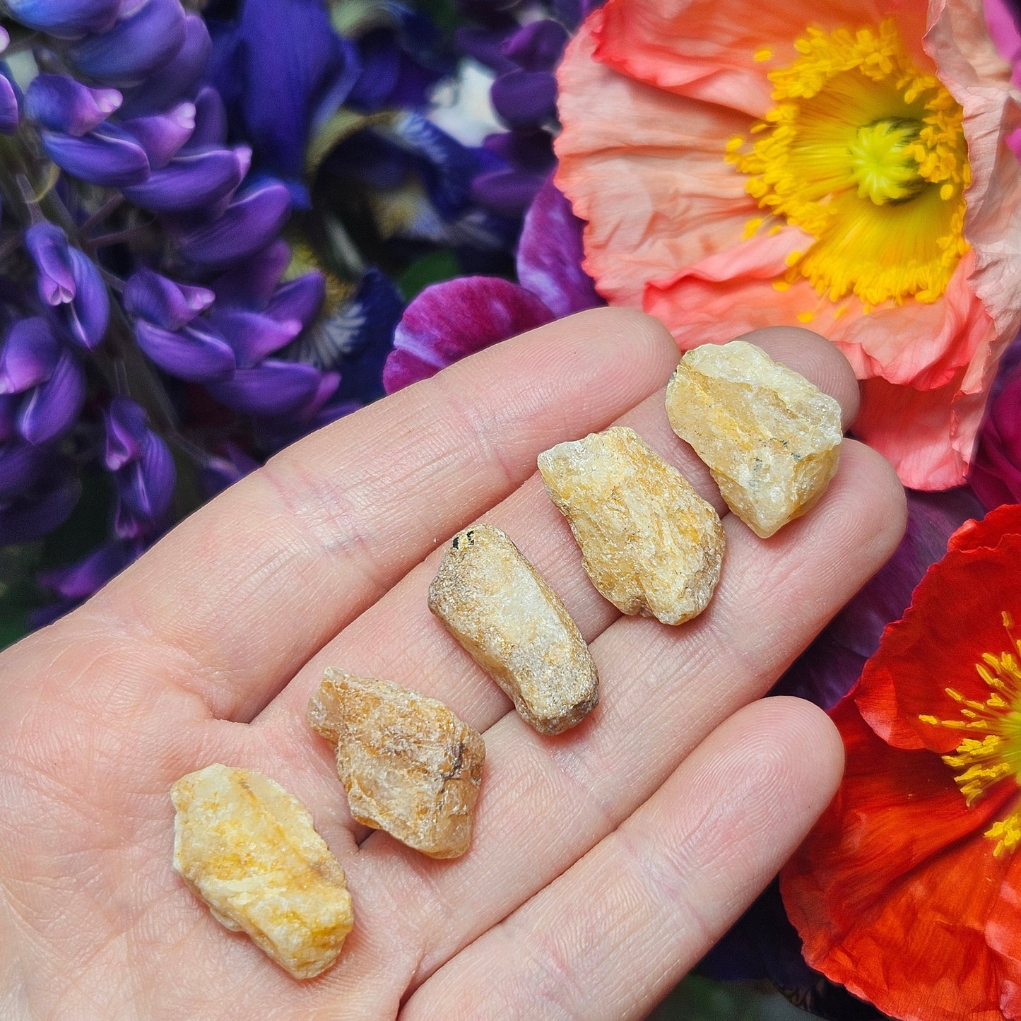 XL Phenacite Crystal