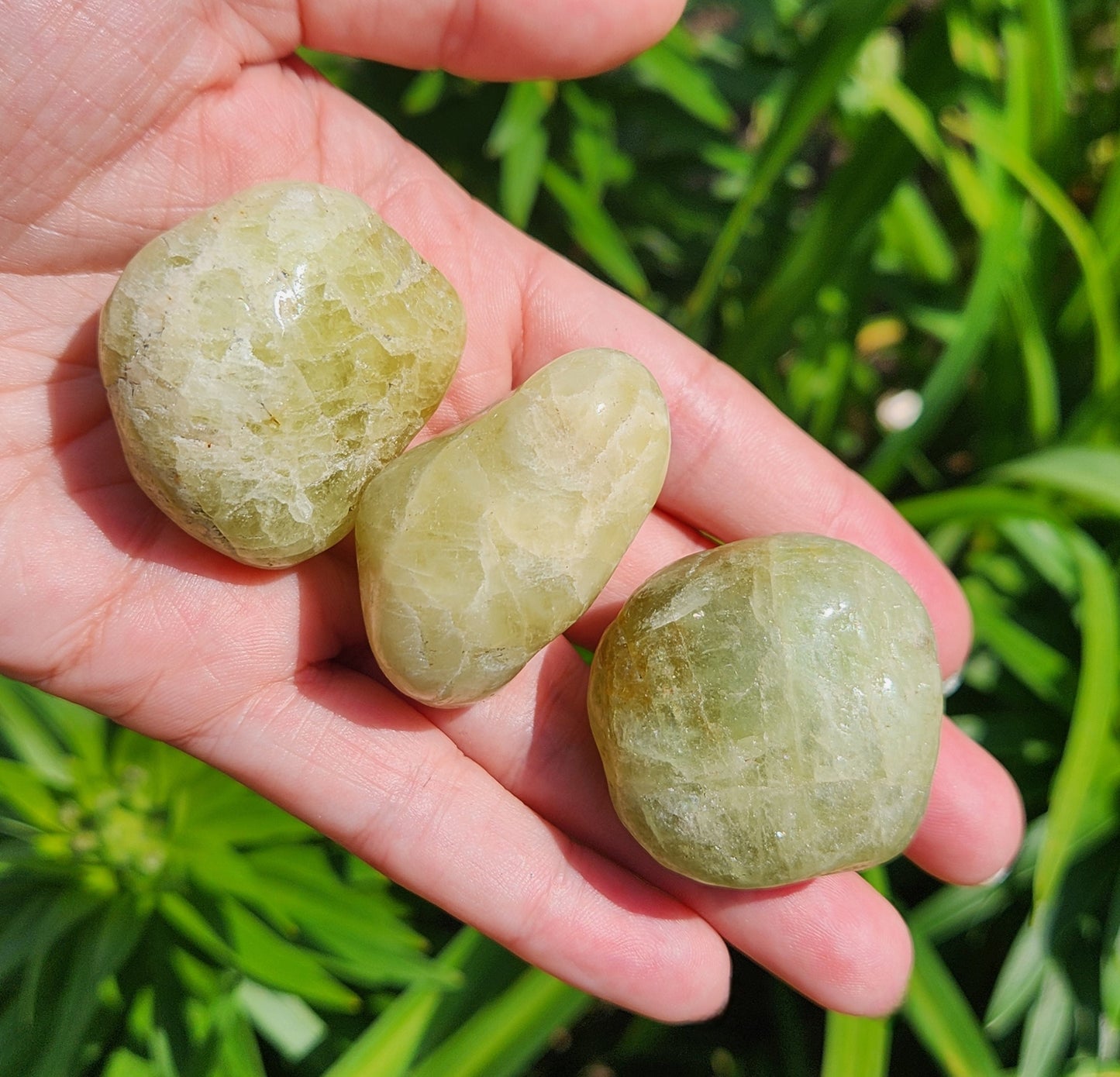 XL Heliodor Crystal