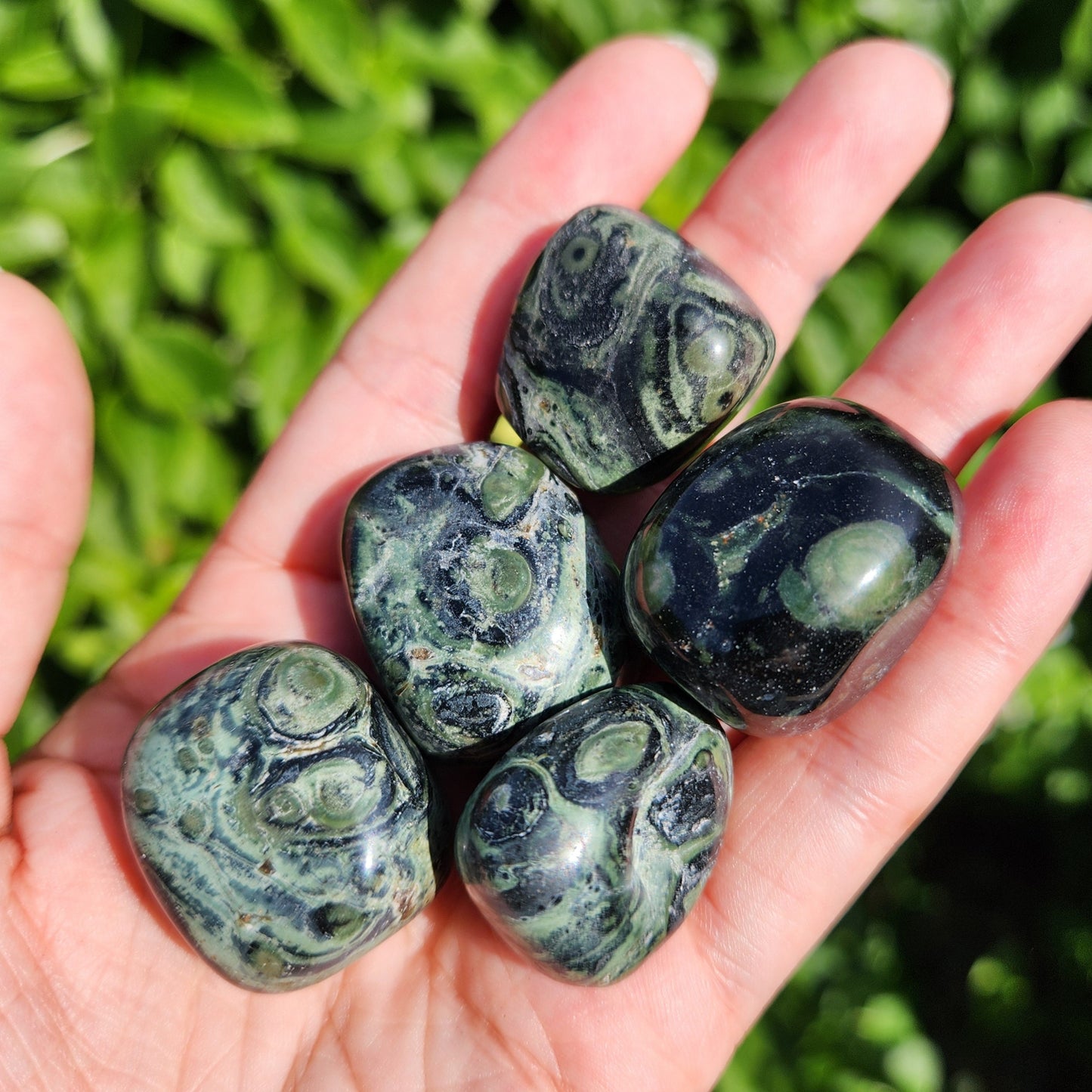 Kambaba Jasper Stone