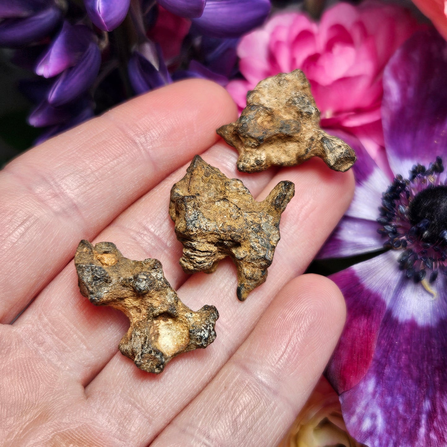 XL Pallasite Meteorite