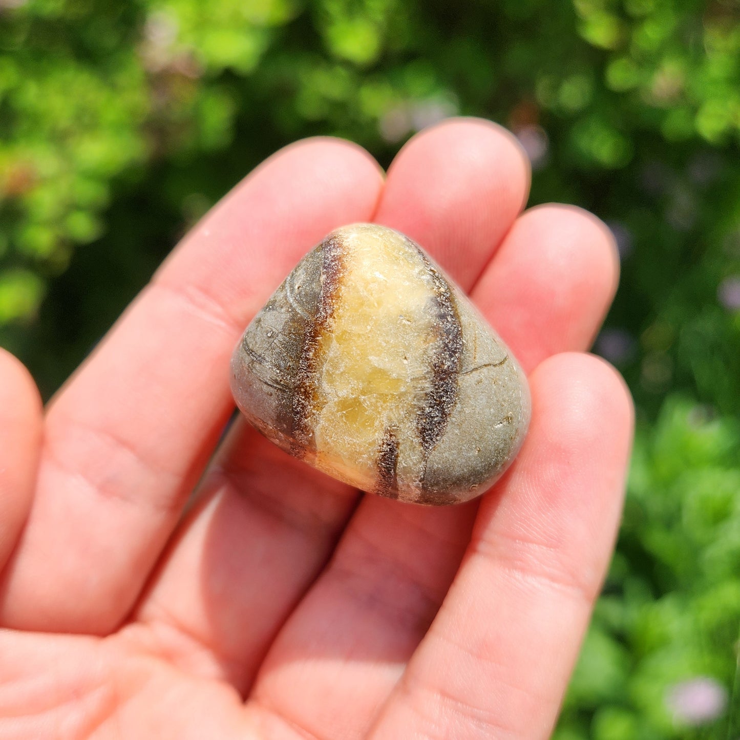 Septarian Stone