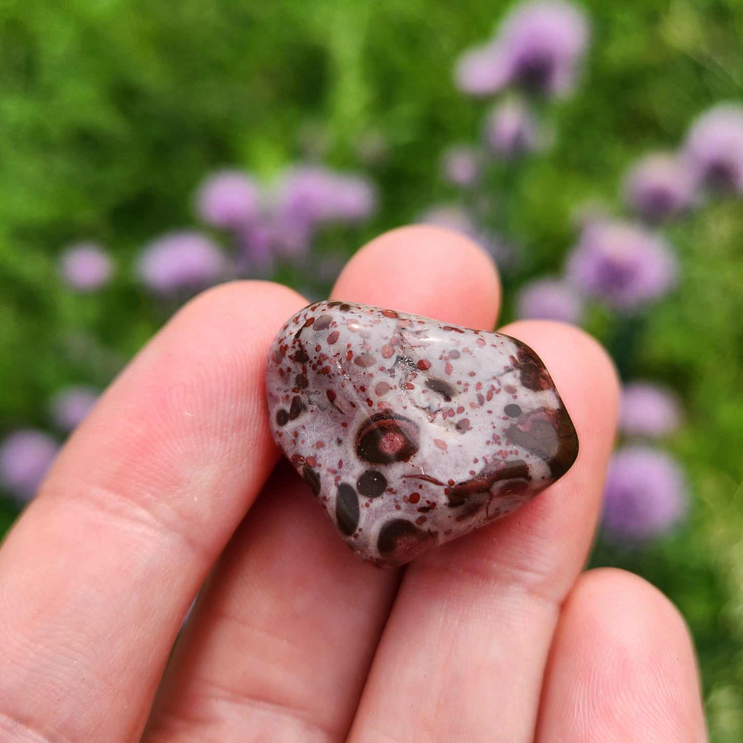 Leopard Skin Jasper