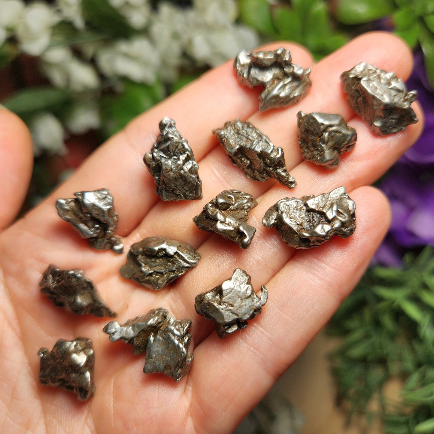 Meteorite Specimen
