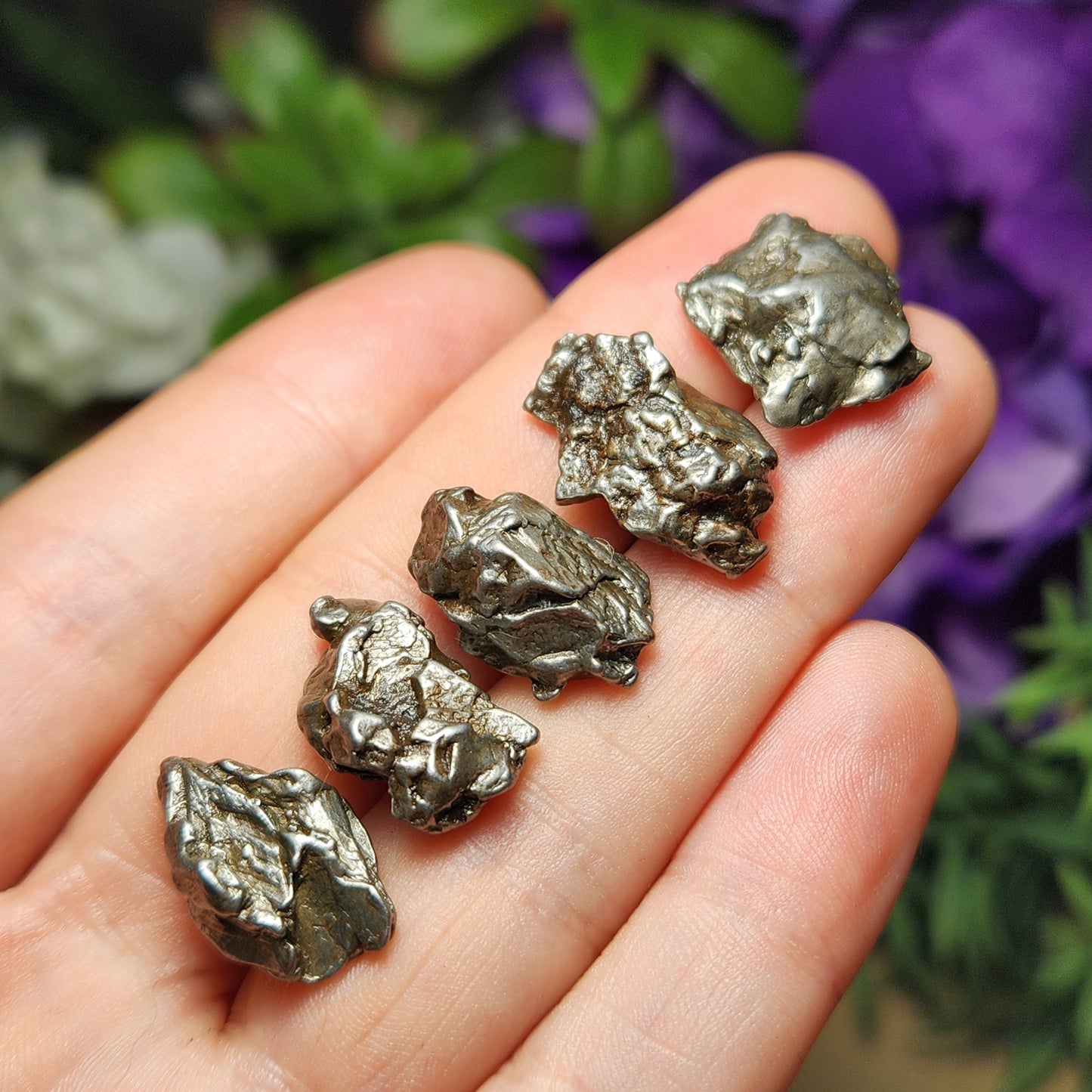 Meteorite Specimen