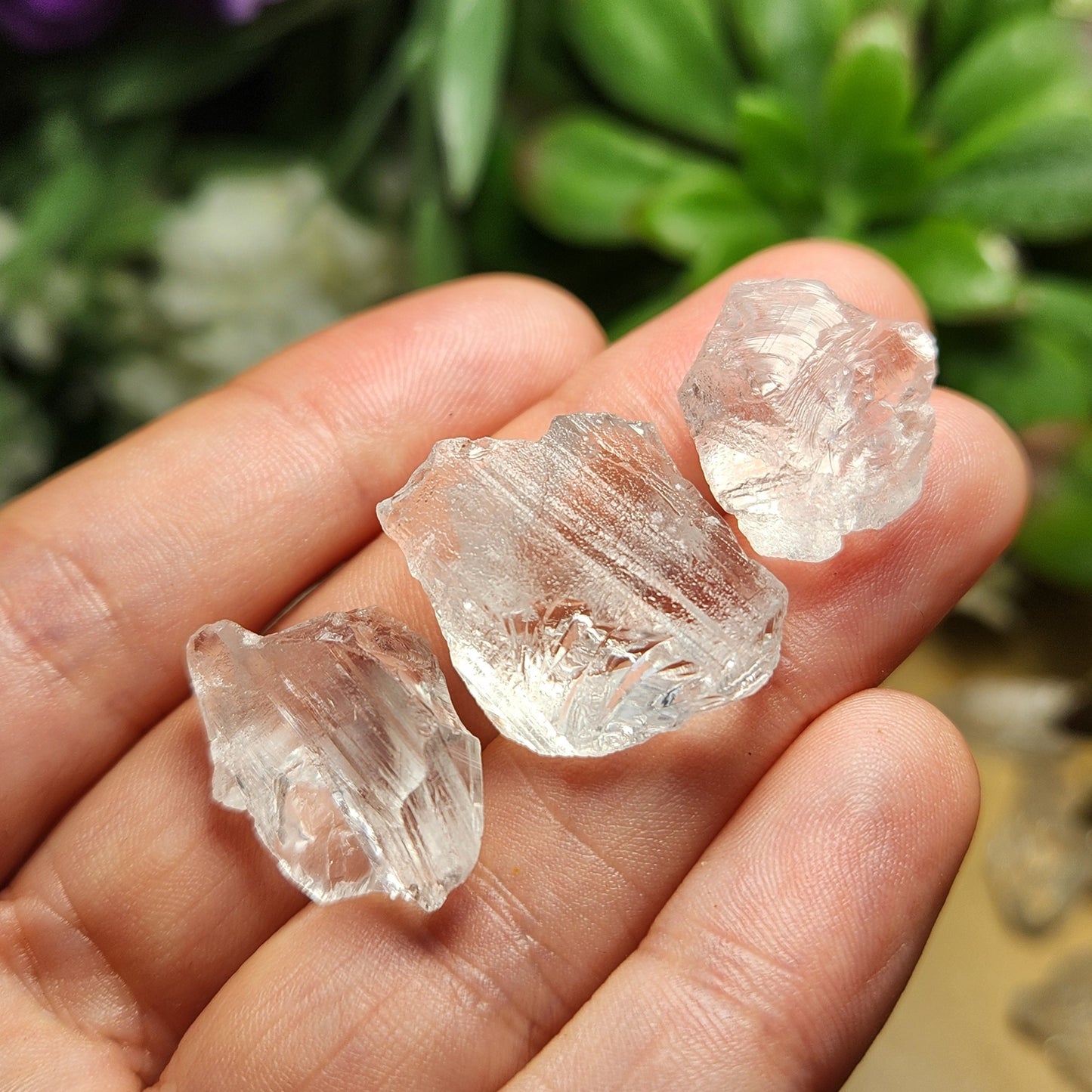 Etched Lemurian Seed Quartz