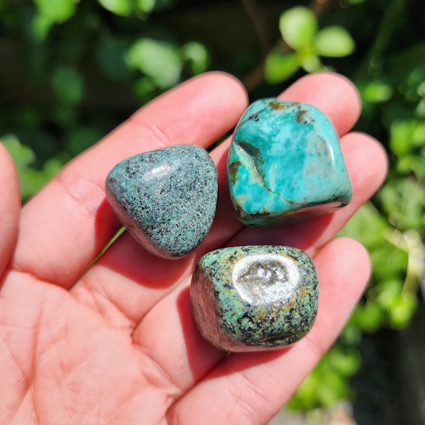 Robins Egg Turquoise