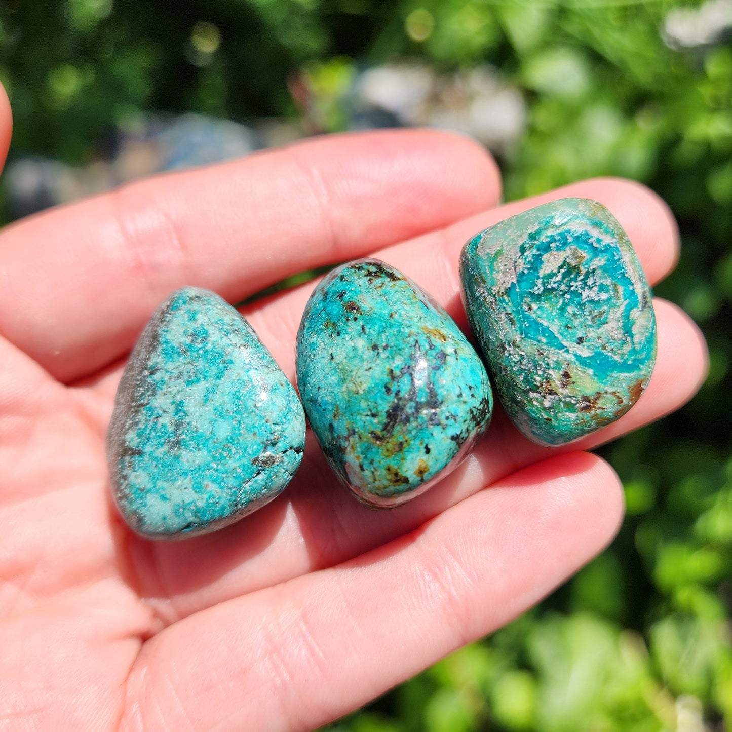 Robins Egg Turquoise