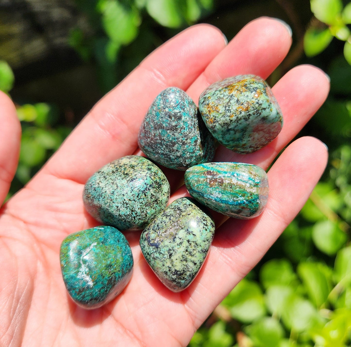 Robins Egg Turquoise