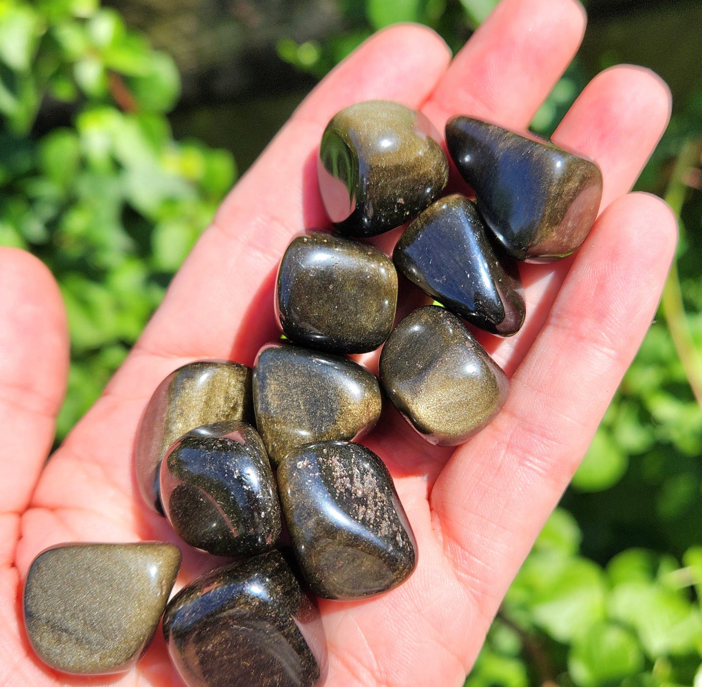 Golden Sheen Obsidian