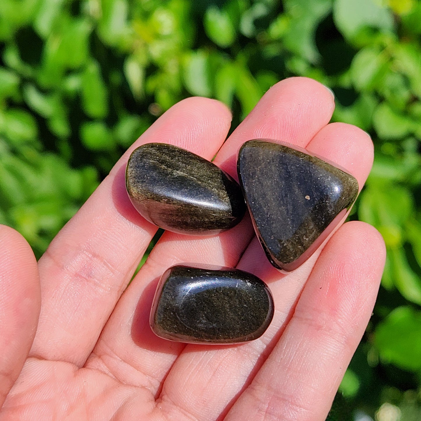 Golden Sheen Obsidian