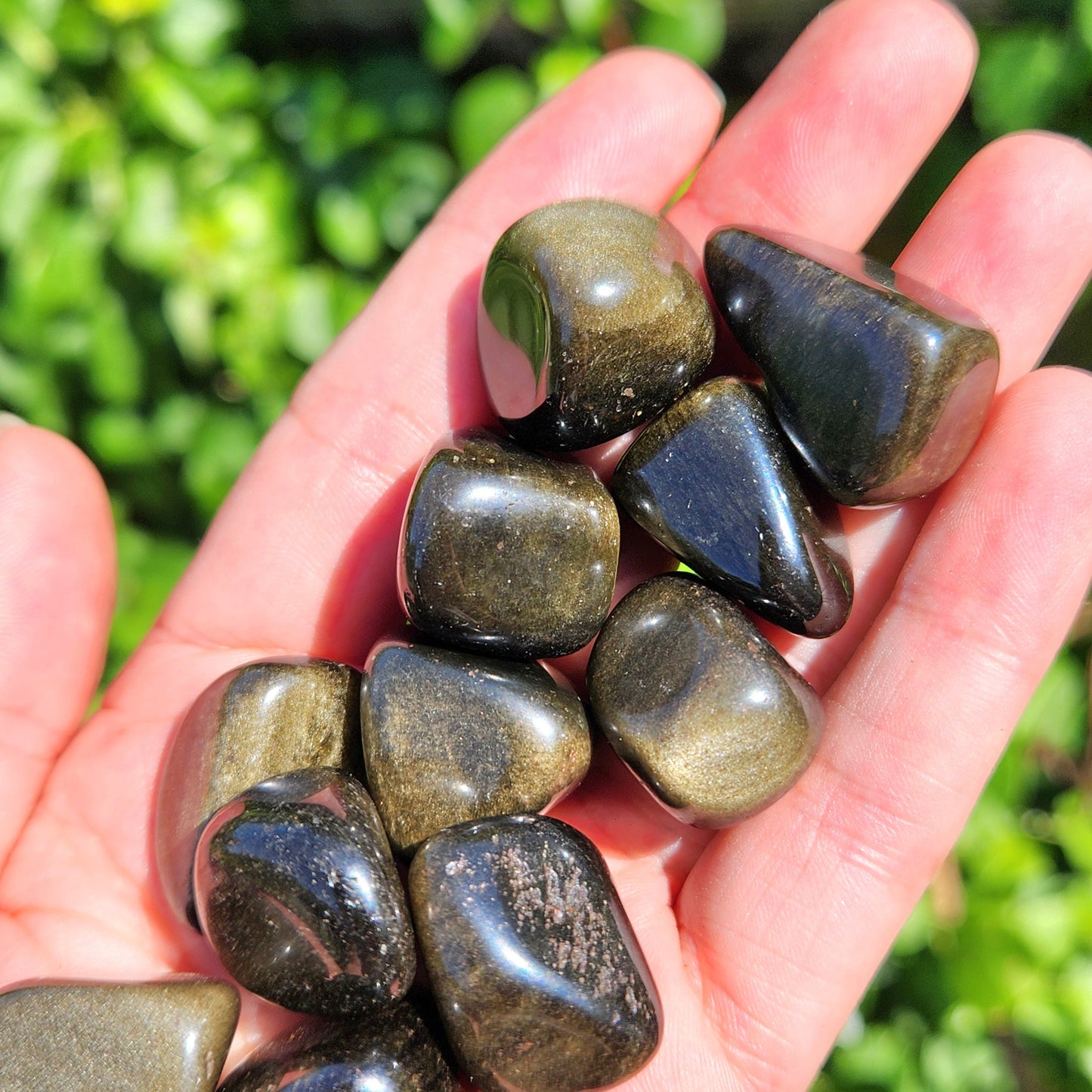 Golden Sheen Obsidian