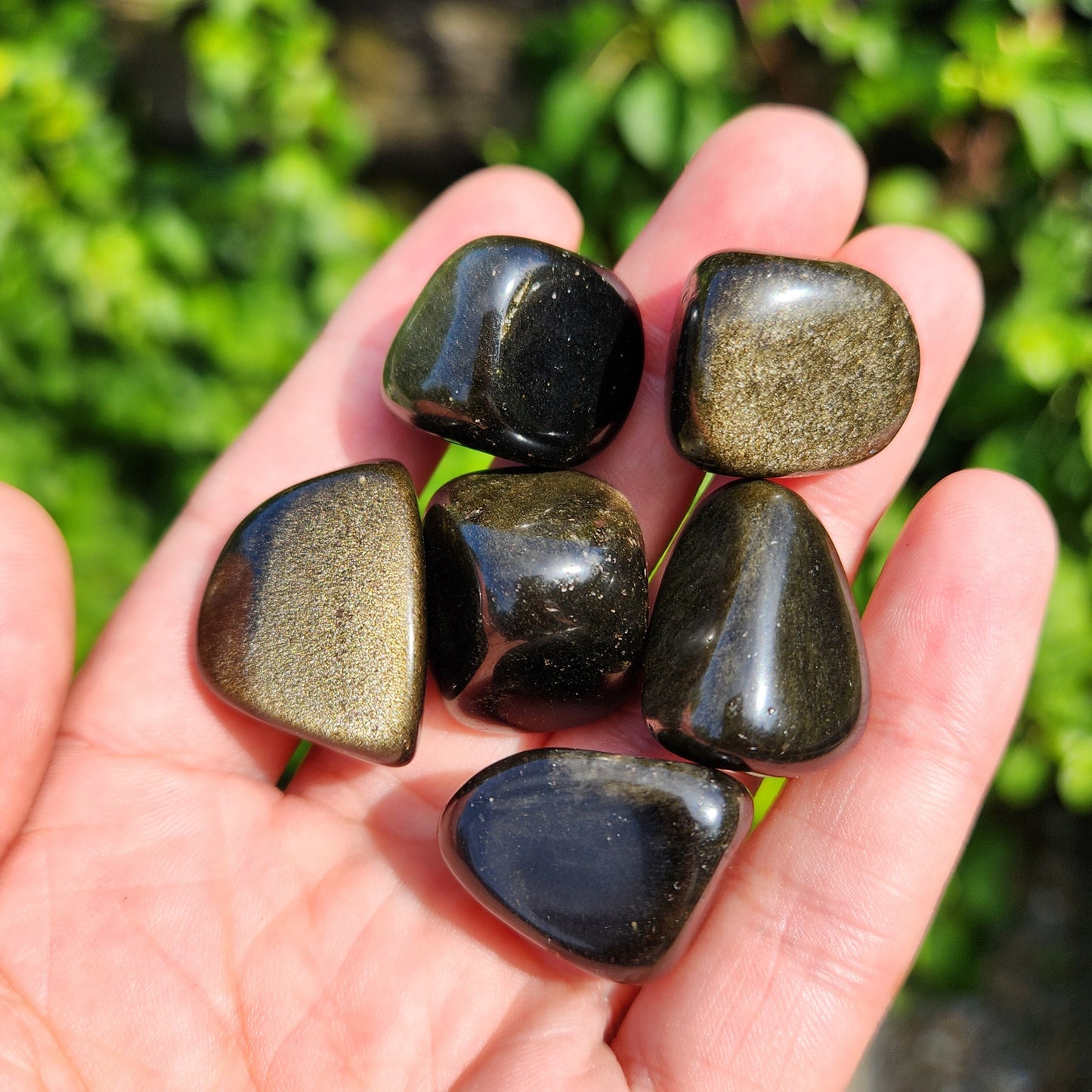 Golden Sheen Obsidian