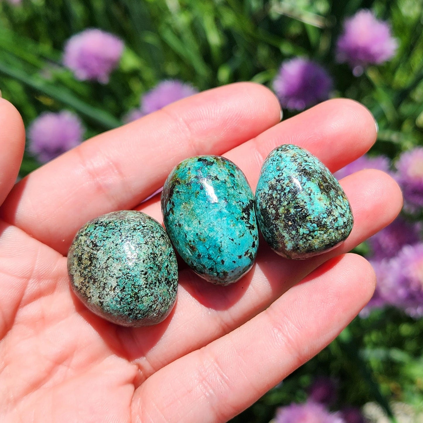 Robins Egg Turquoise