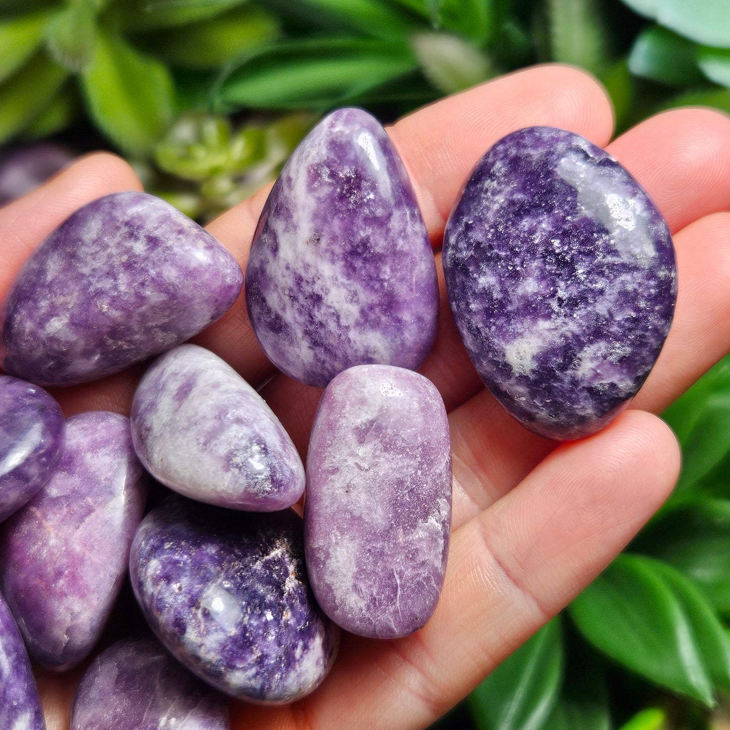 Lepidolite Tumbled Stone