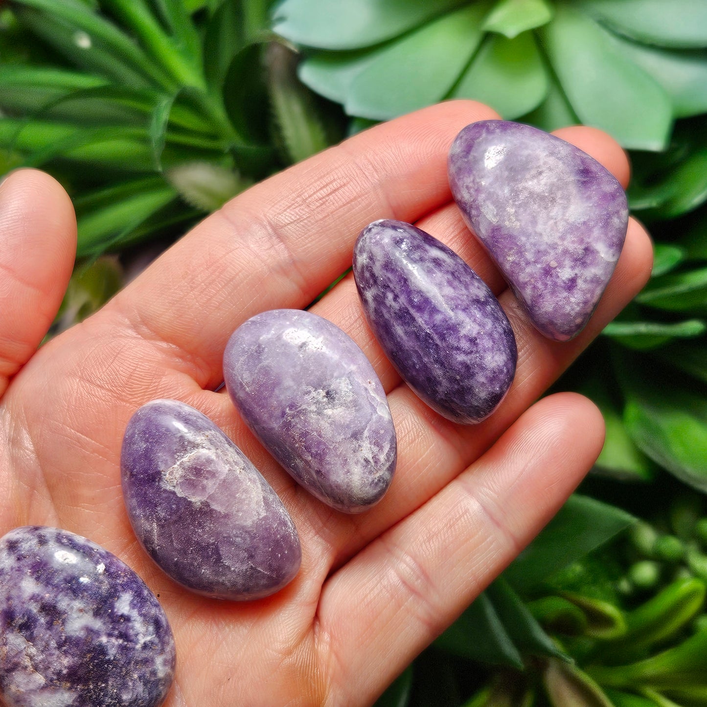 Lepidolite Tumbled Stone