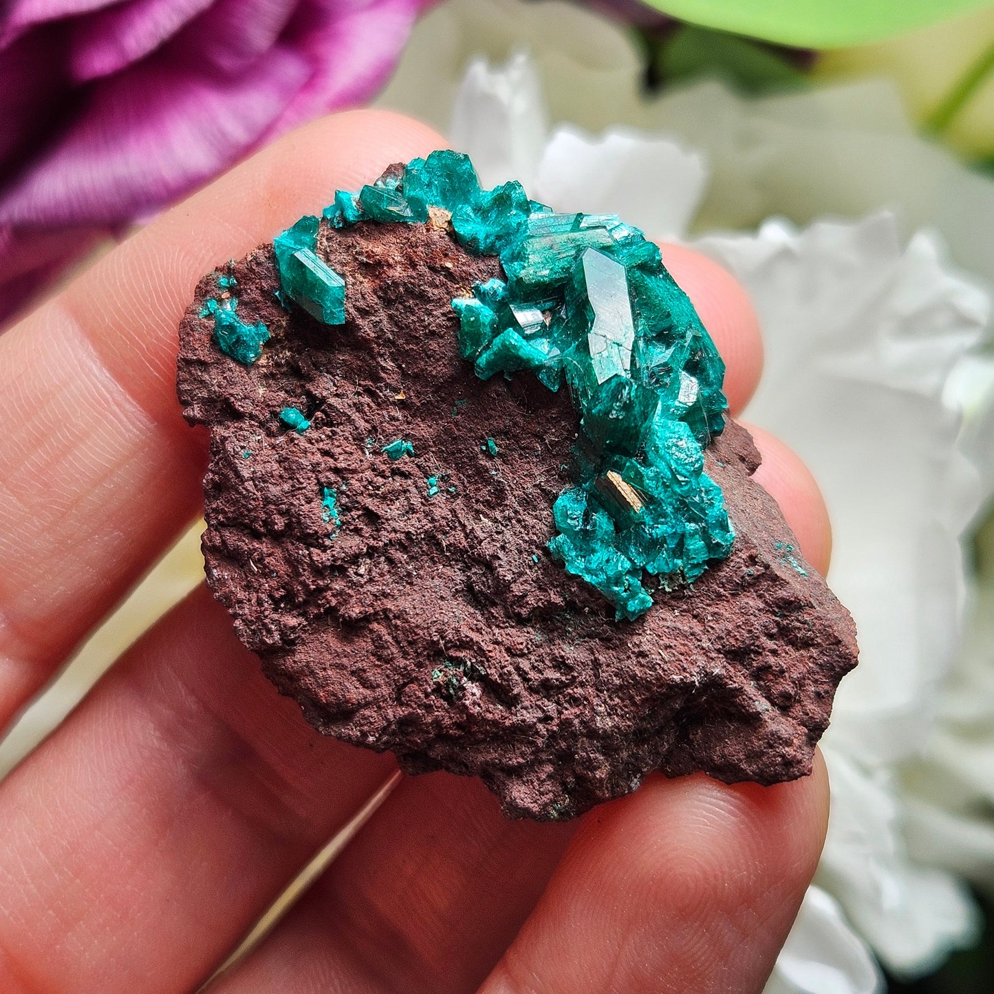 Dioptase Crystal Specimen: Raw and Natural Dioptase from the Congo
