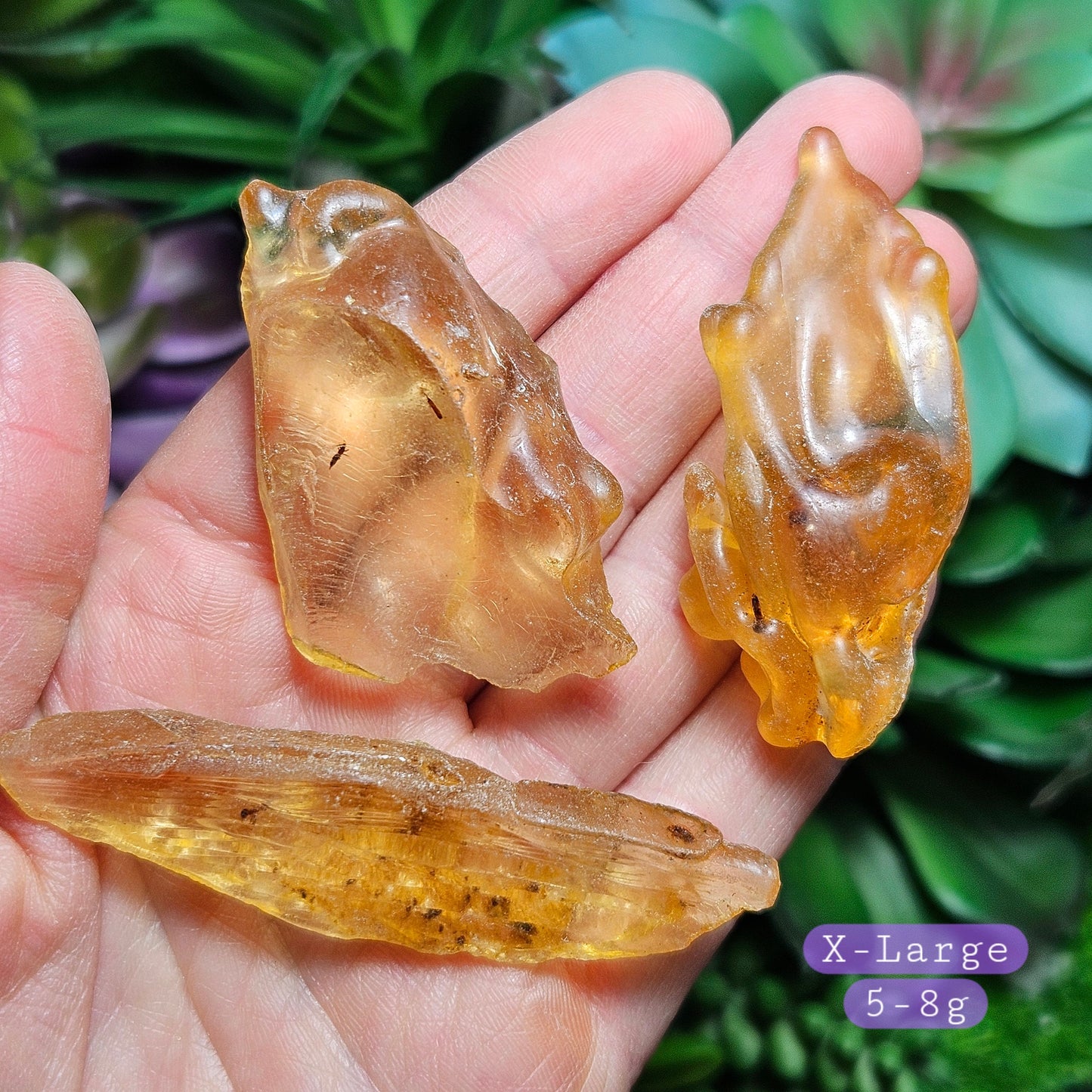Amber with Insects