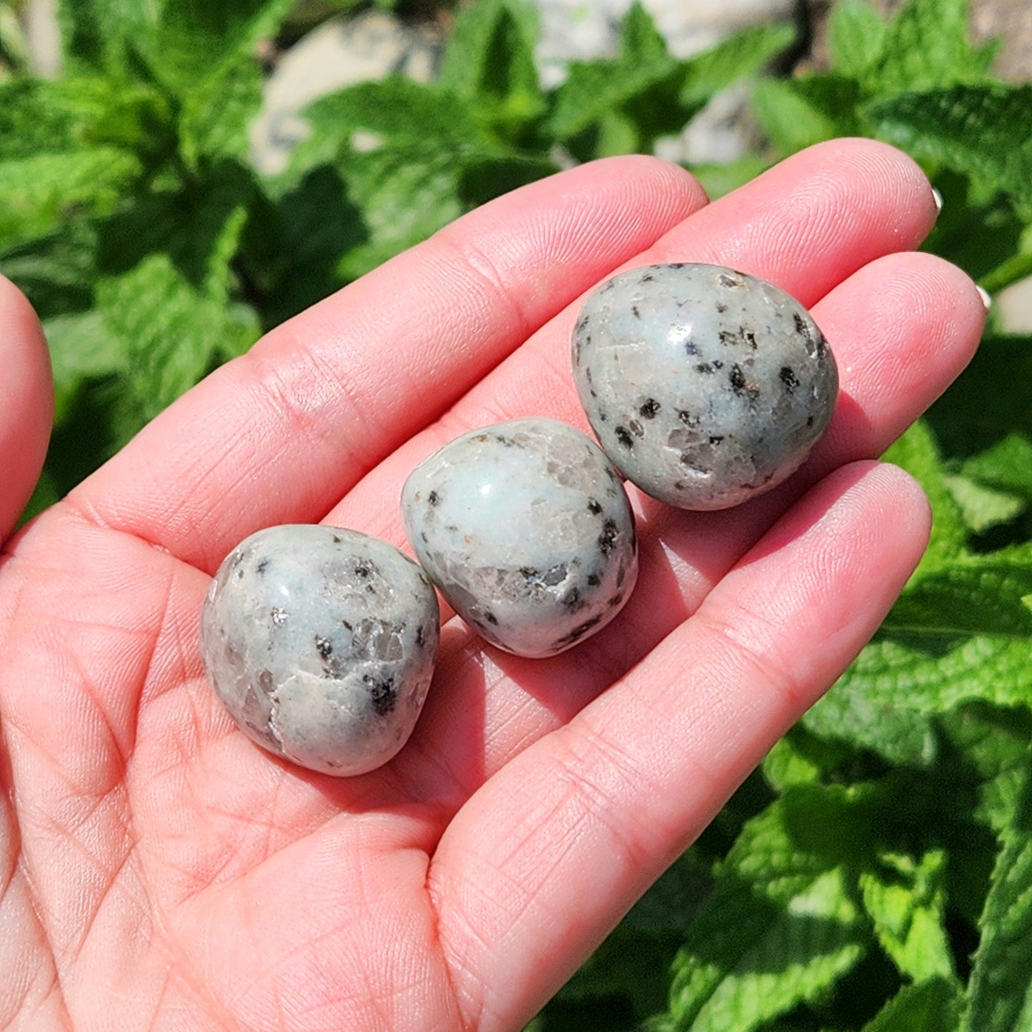 Kiwi Jasper Crystal