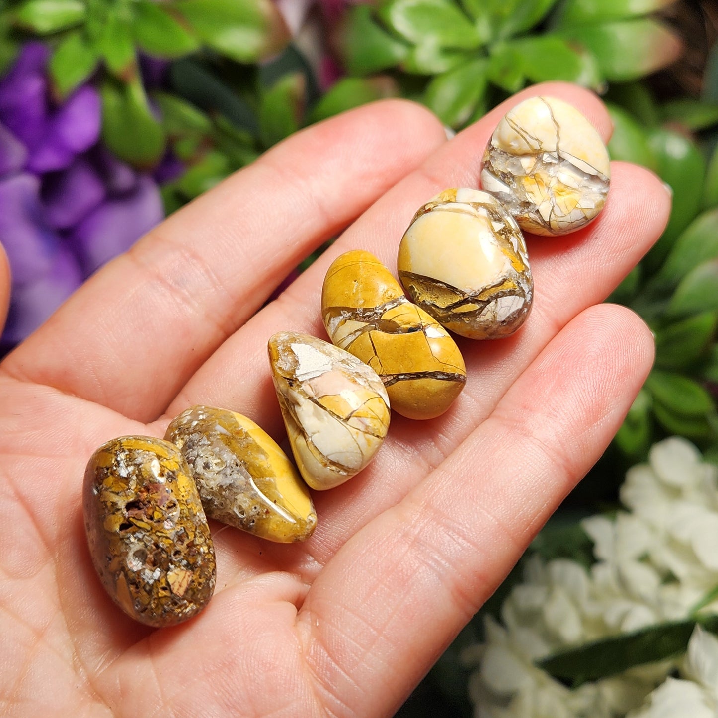 Brecciated Mookaite