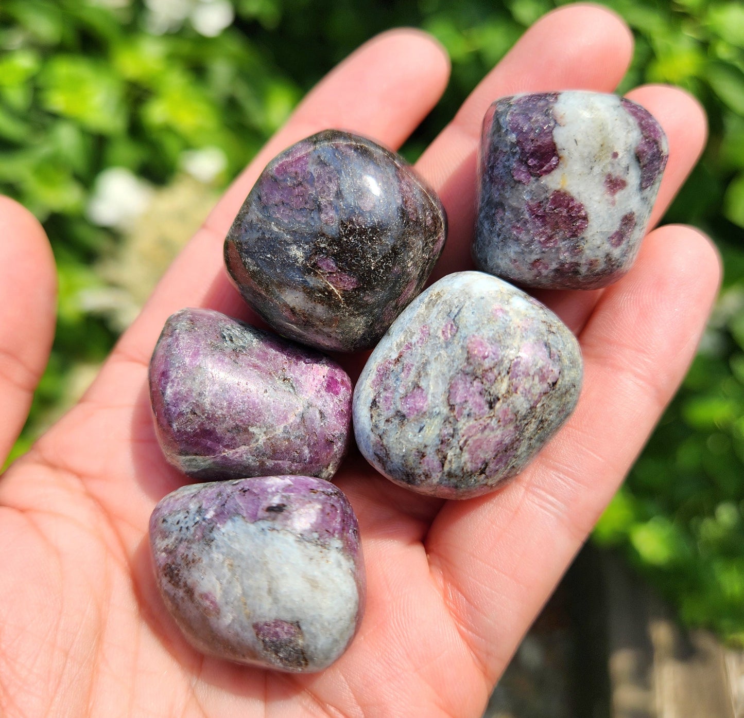 Astrophyllite Garnet Stone