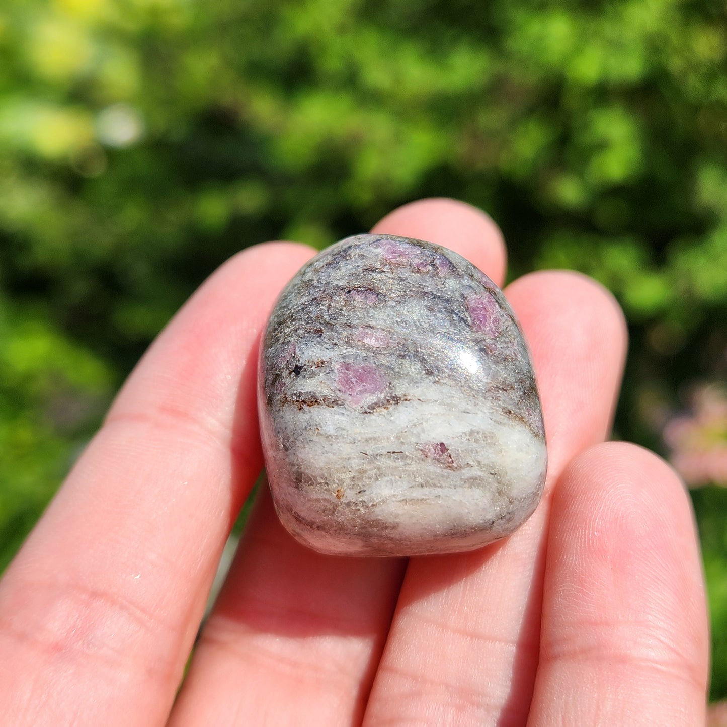 Astrophyllite Garnet Stone