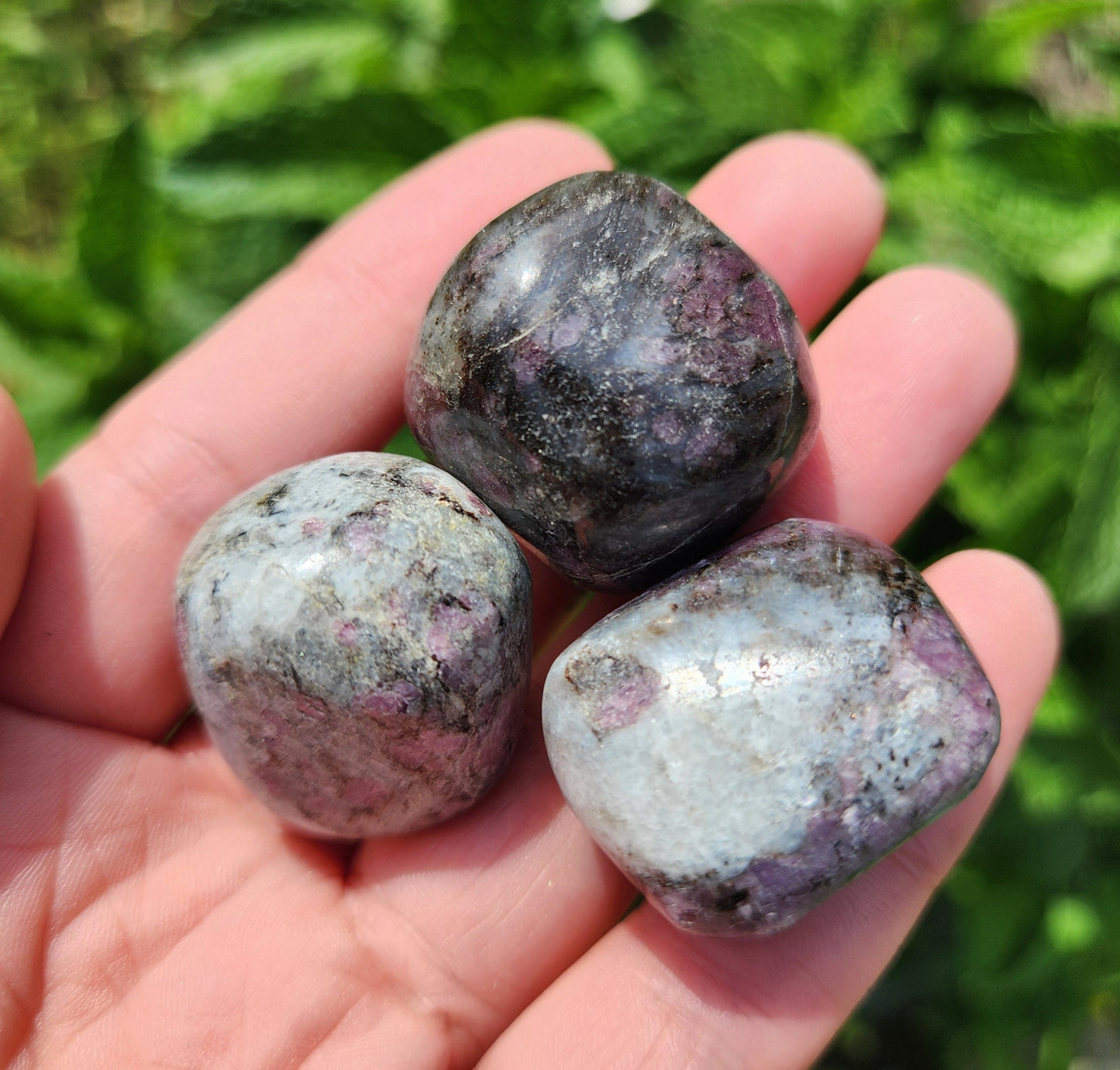 Astrophyllite Garnet Stone