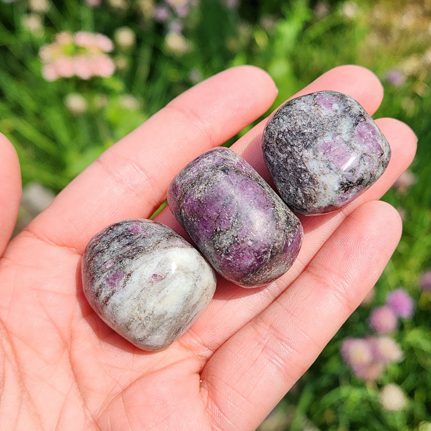 Astrophyllite Garnet Stone