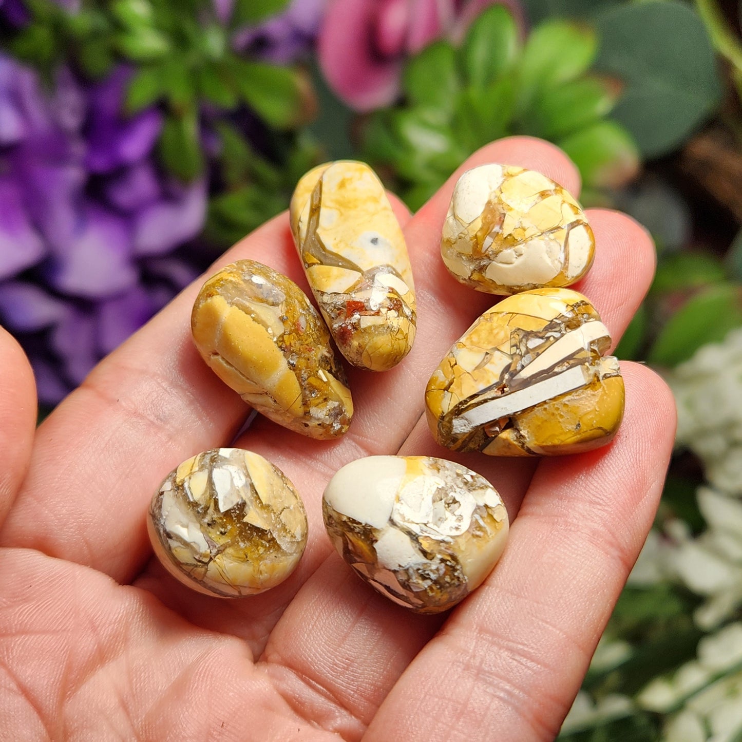 Brecciated Mookaite