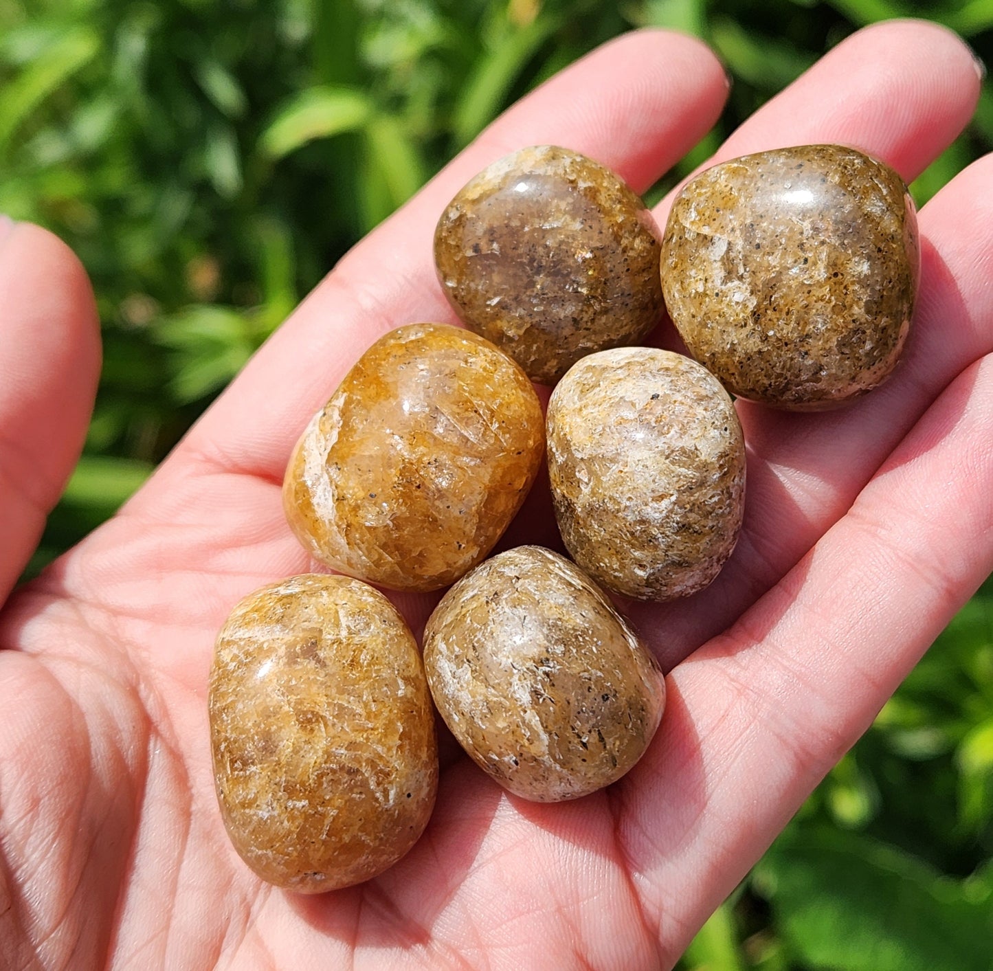 Harlequin Quartz