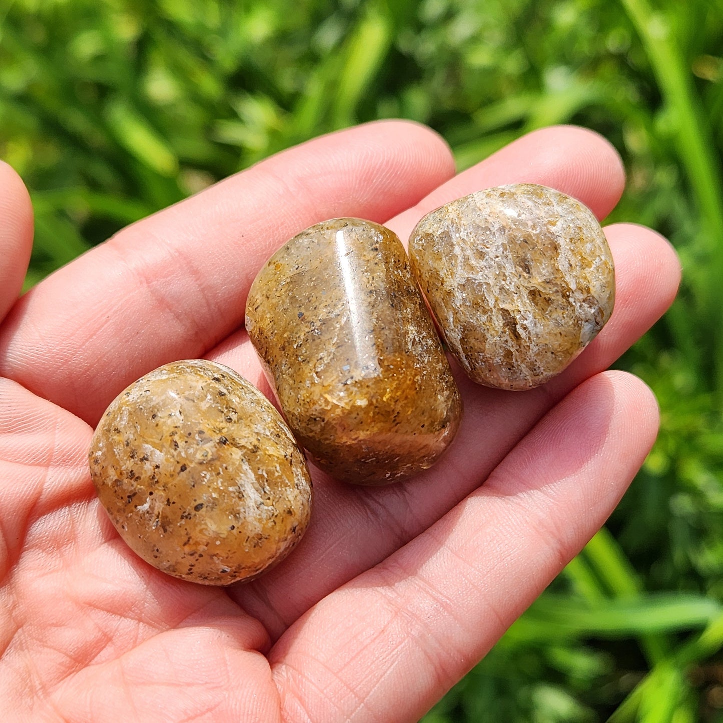 Harlequin Quartz