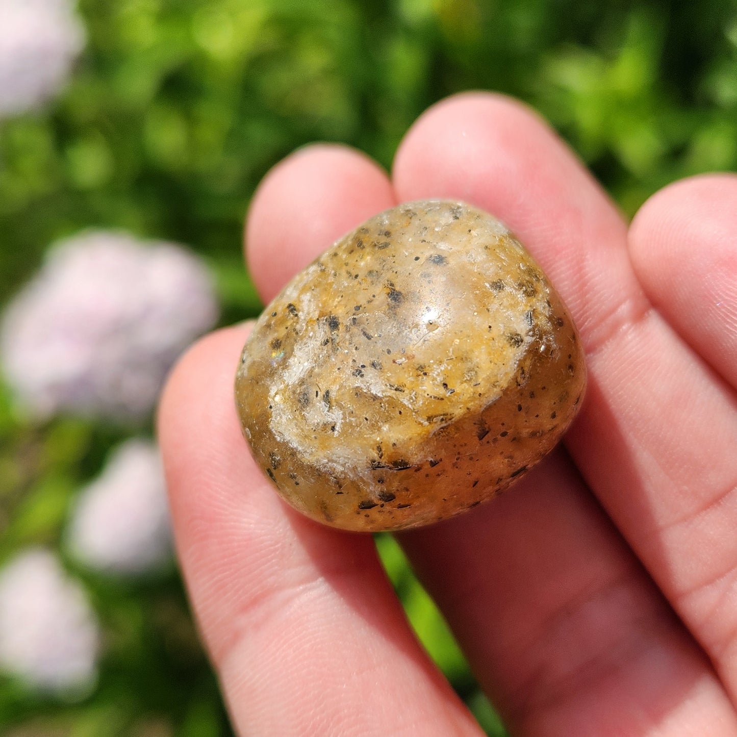 Harlequin Quartz
