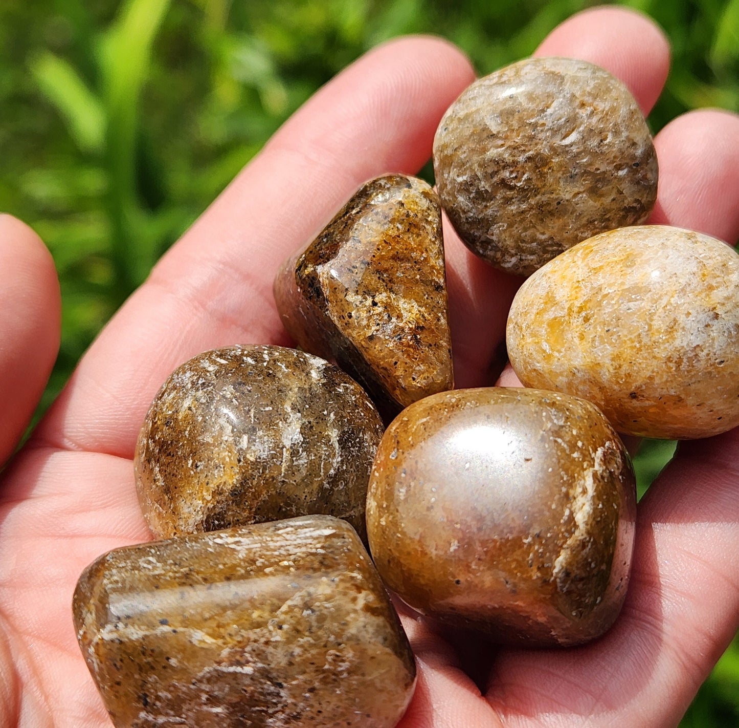 Harlequin Quartz