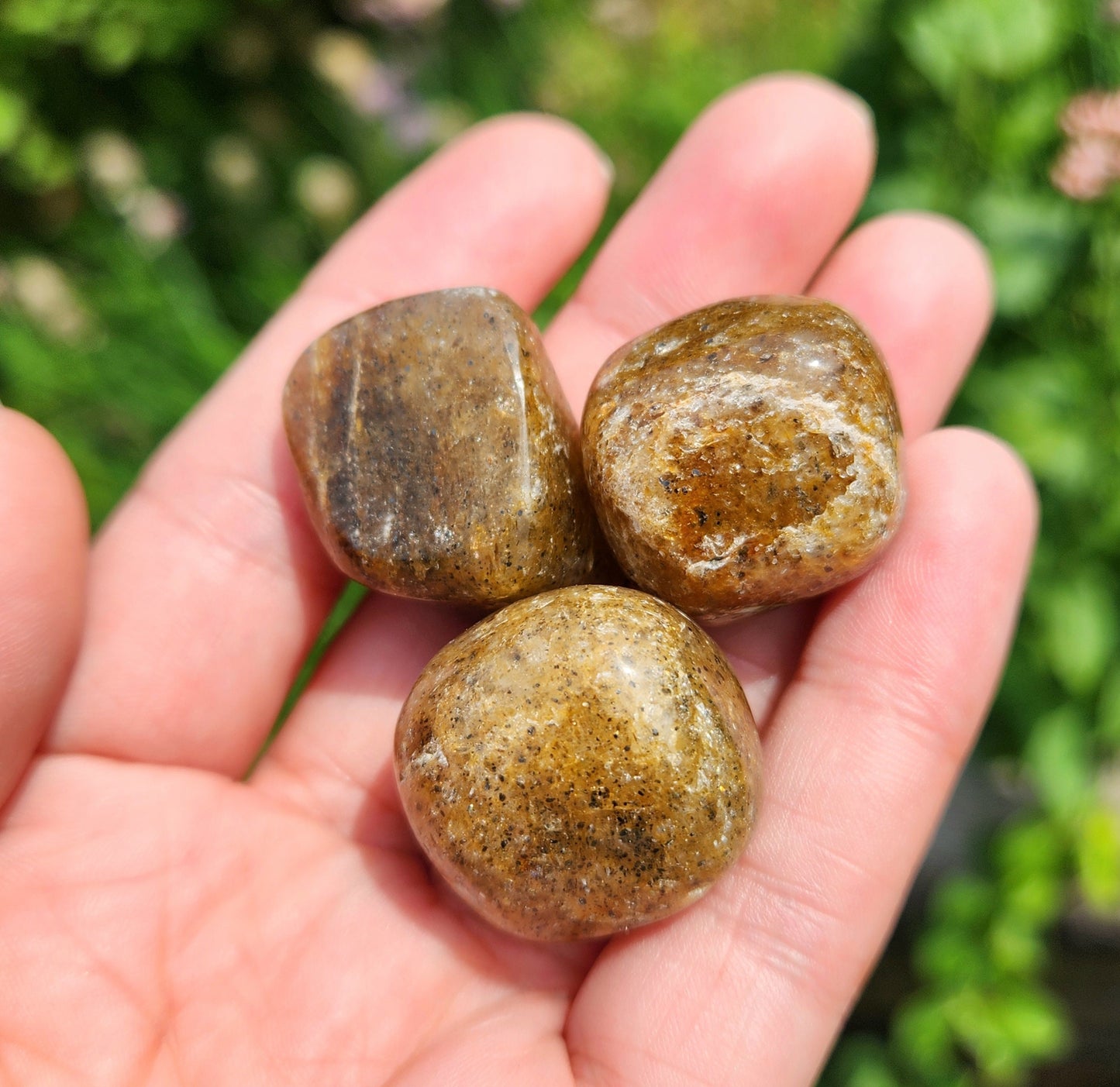 Harlequin Quartz