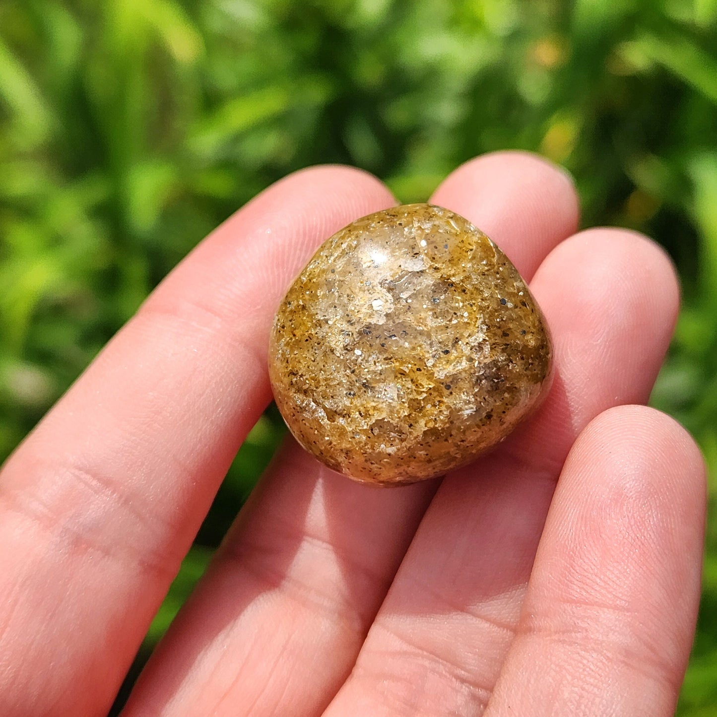 Harlequin Quartz