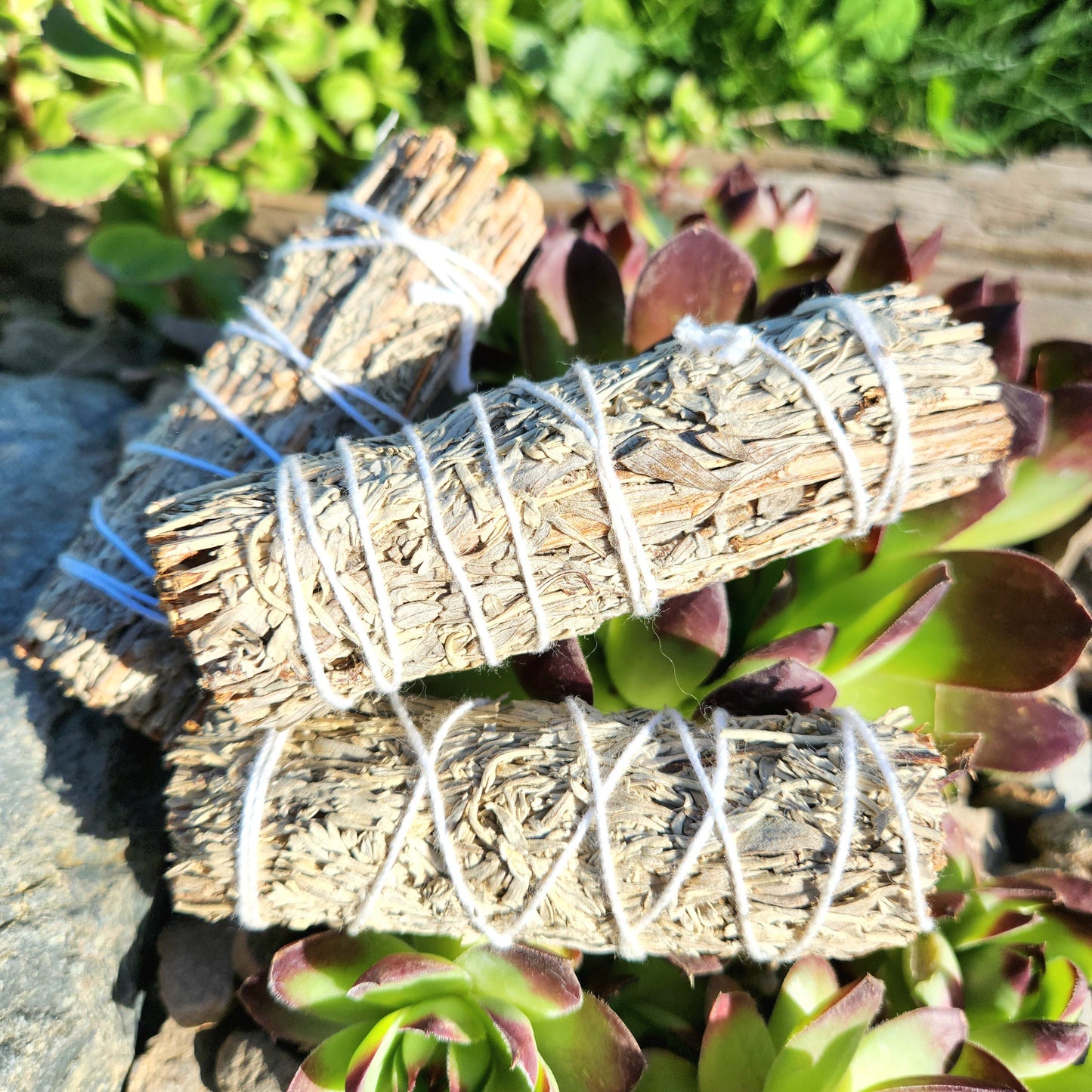 Blue Sage Smudge