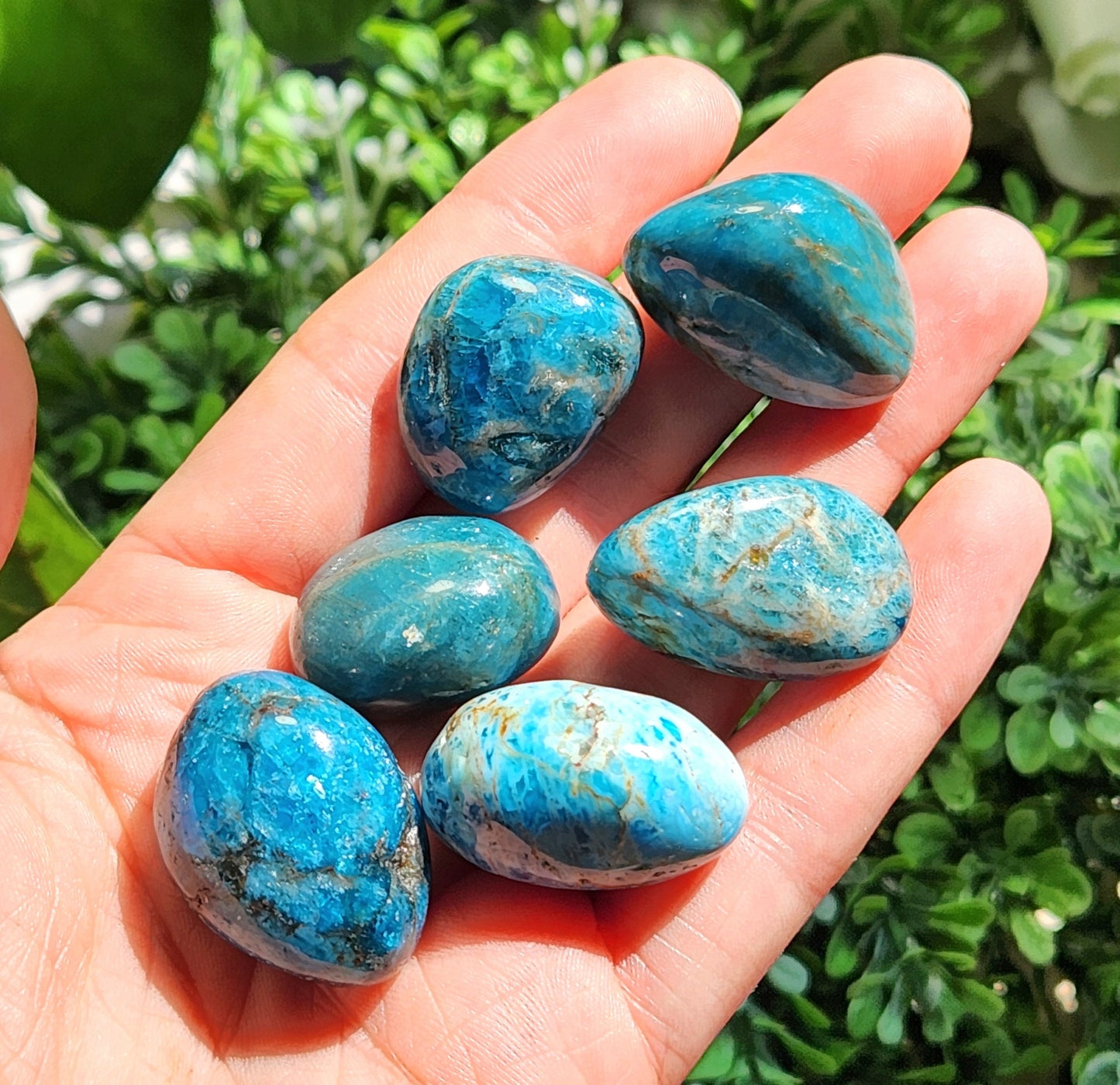 Blue Apatite Crystal