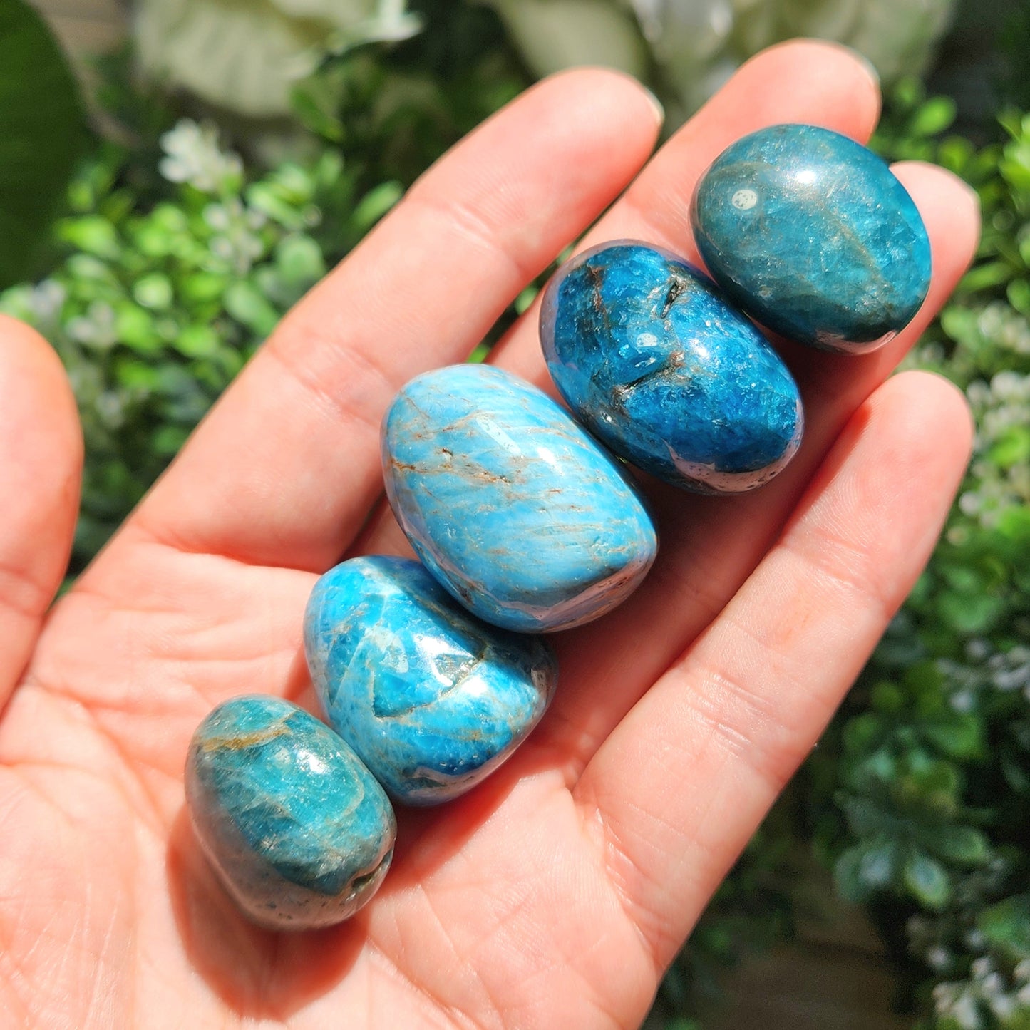 Blue Apatite Crystal