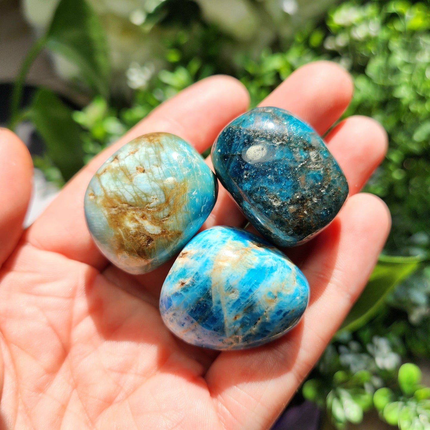 Blue Apatite Crystal