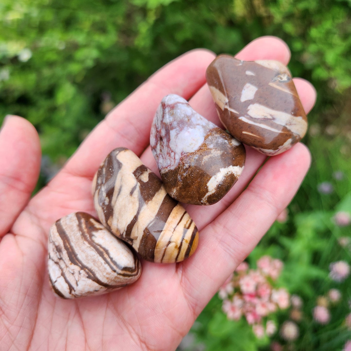 Red Zebra Jasper