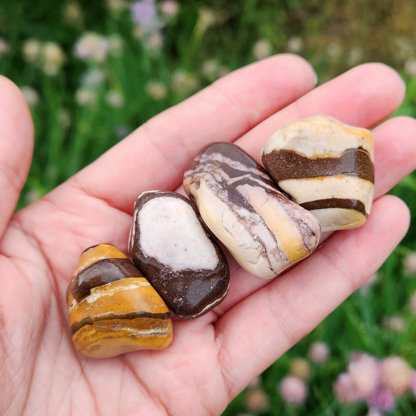 Red Zebra Jasper