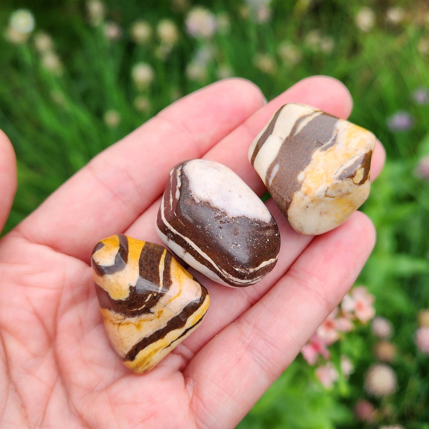 Red Zebra Jasper
