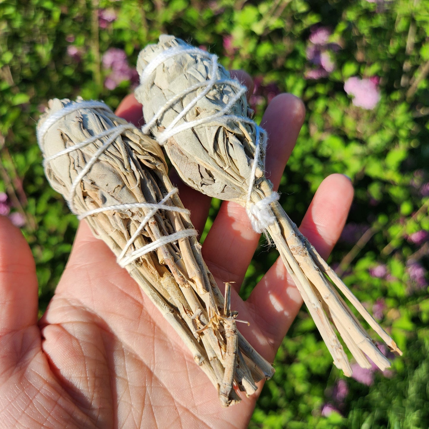 White Sage Stick