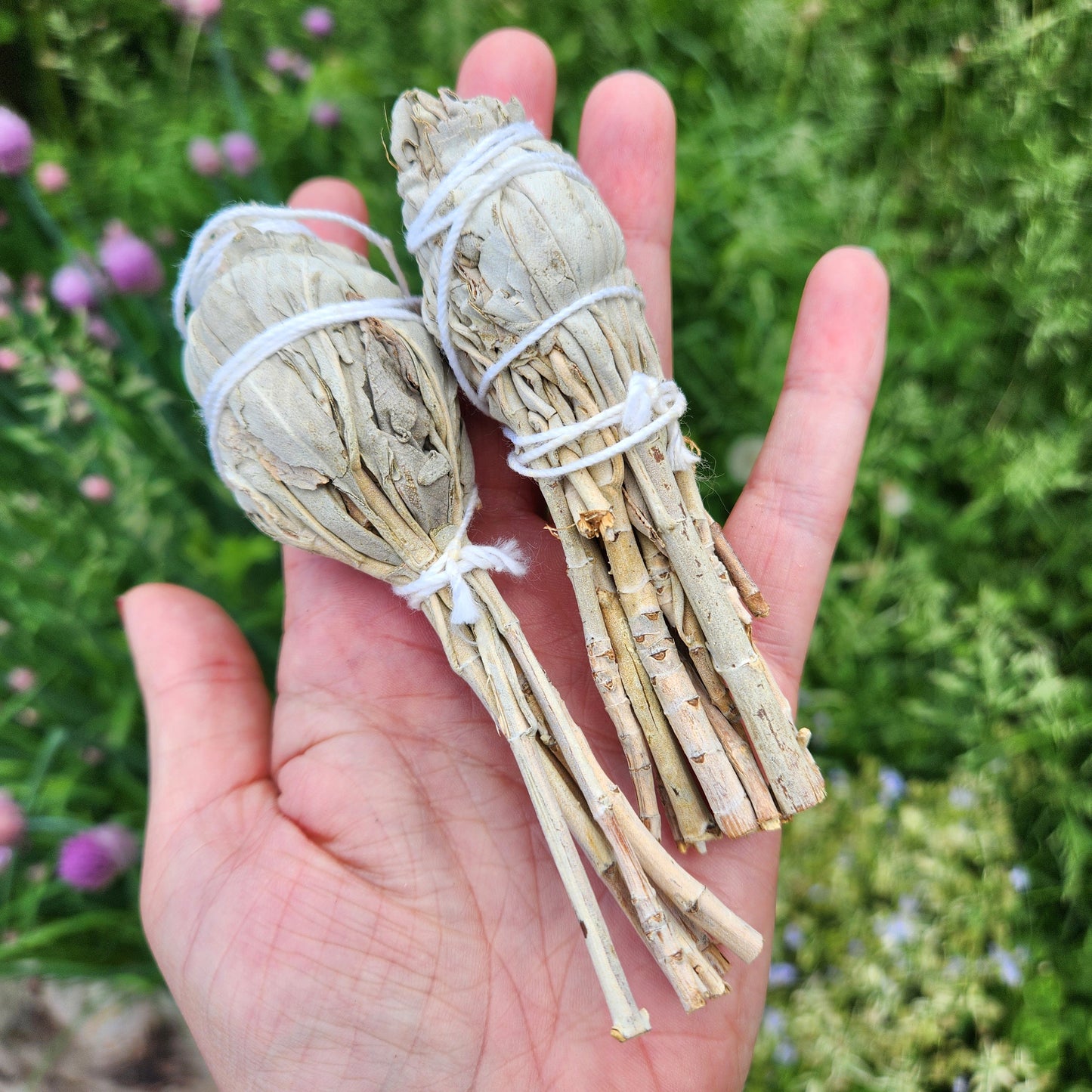 White Sage Stick