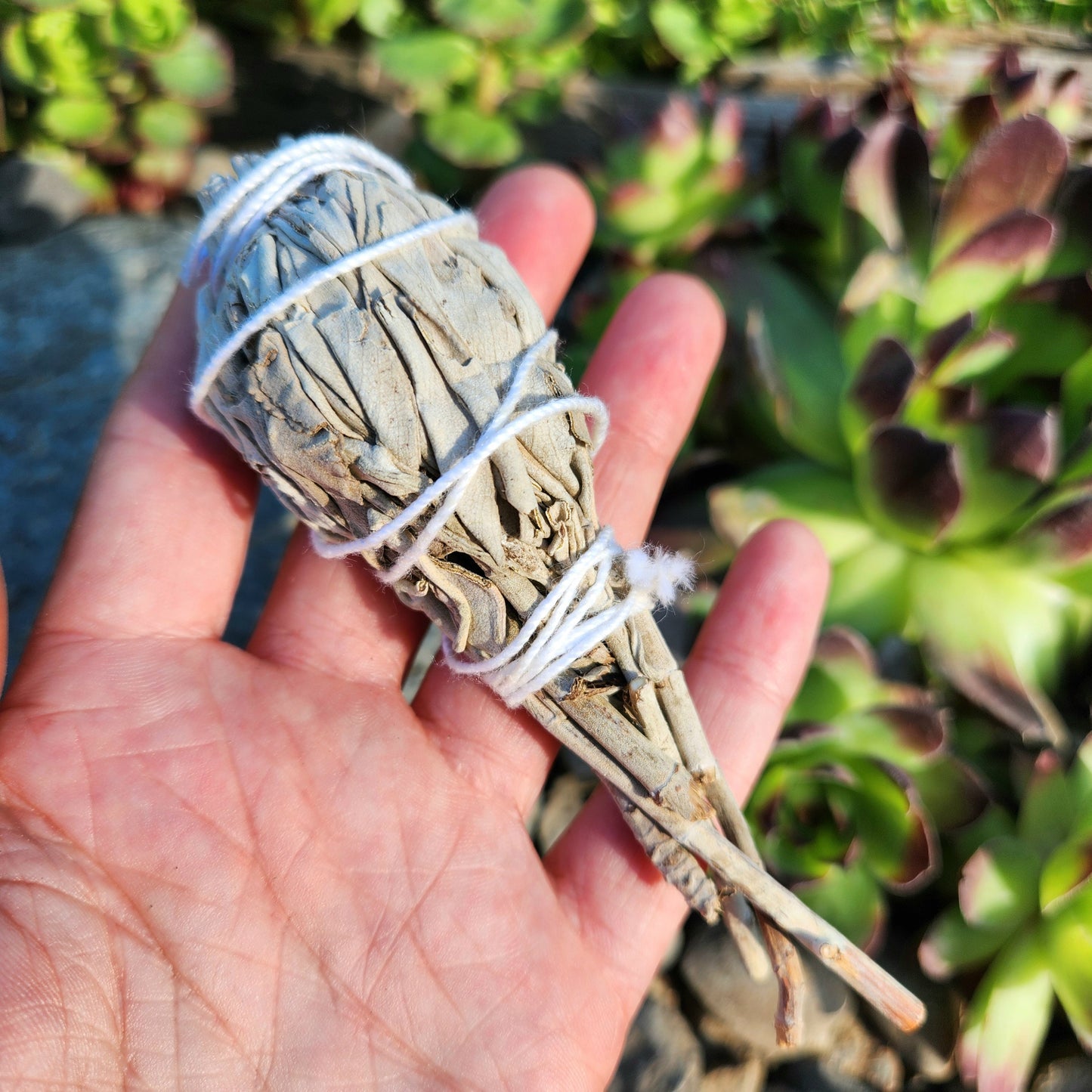 White Sage Stick