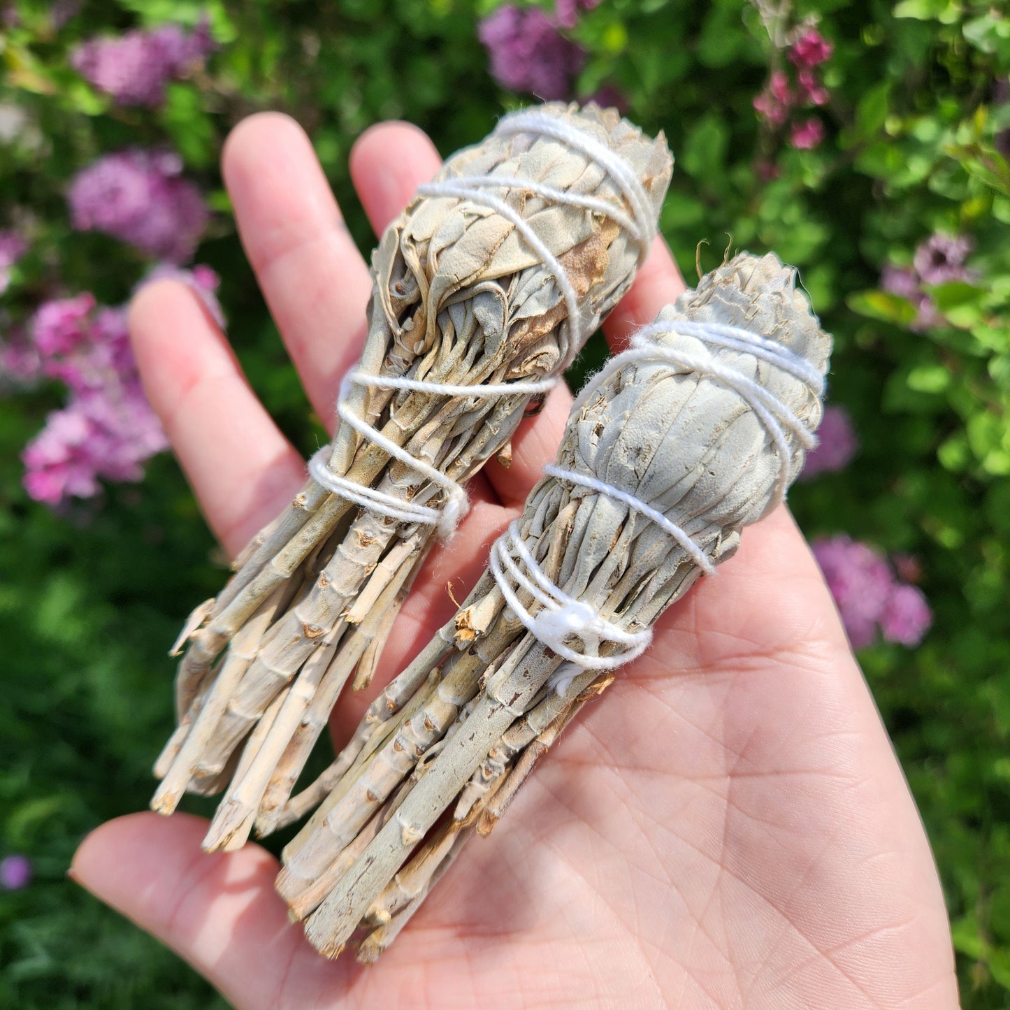 White Sage Stick