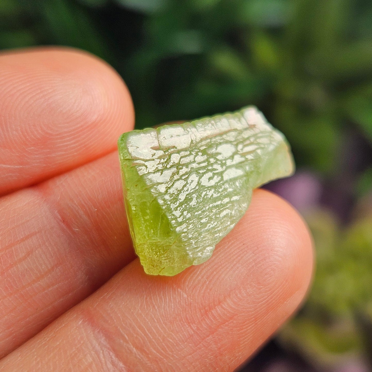 Terminated Peridot