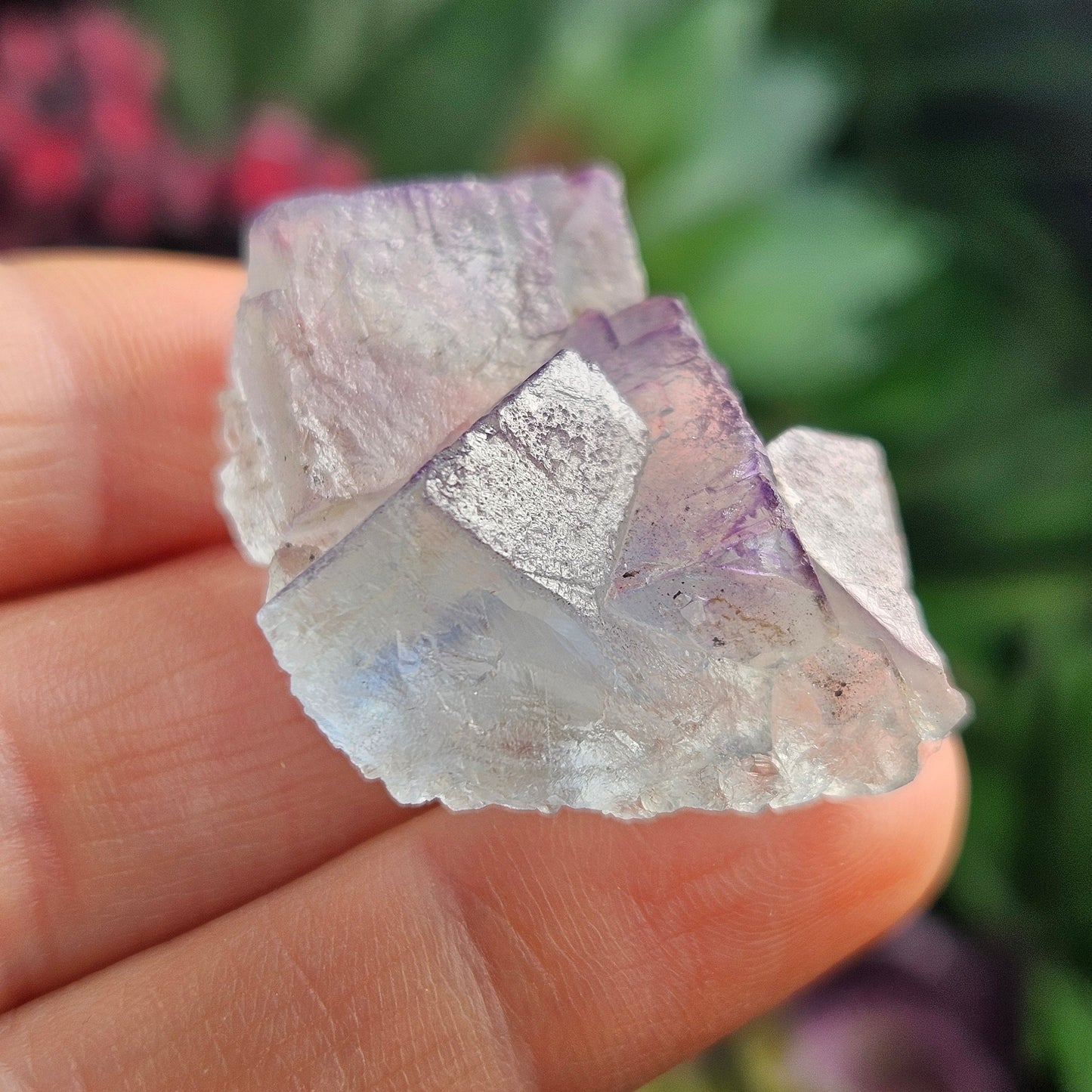 Cubic Blue Fluorite
