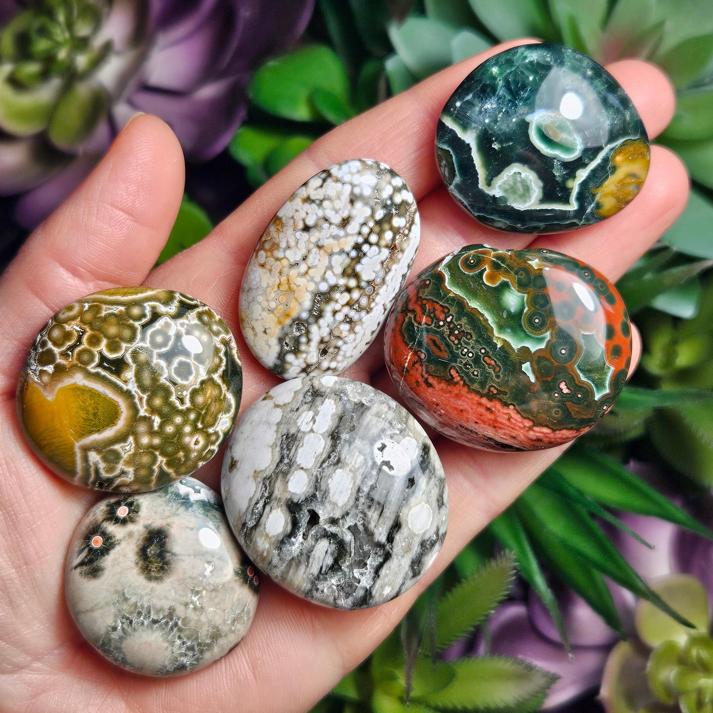 Orbicular Ocean Jasper